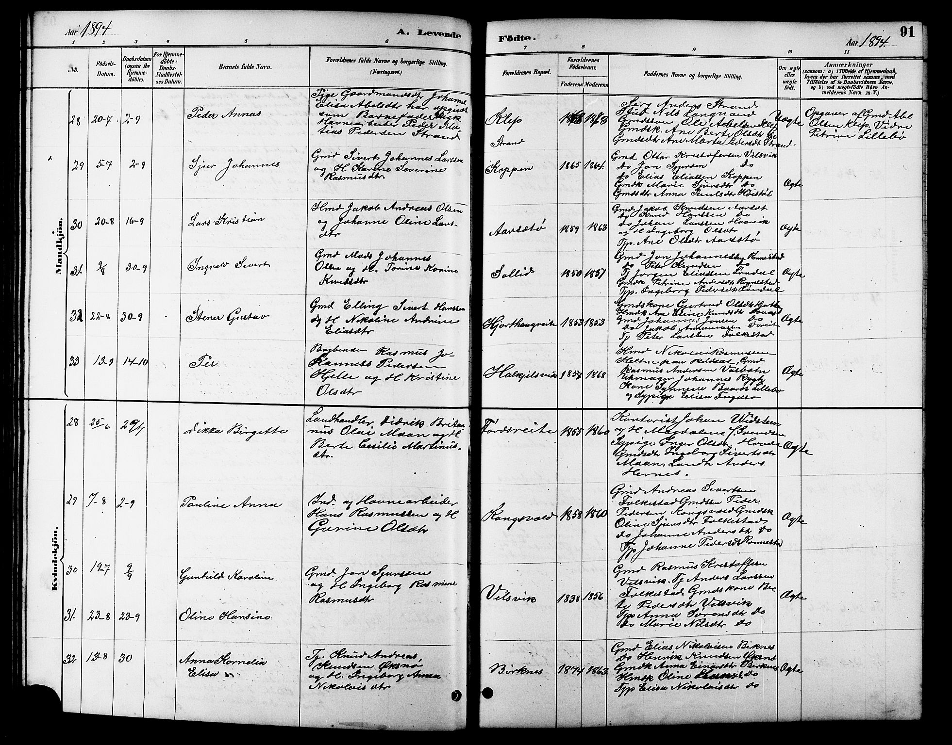 Ministerialprotokoller, klokkerbøker og fødselsregistre - Møre og Romsdal, AV/SAT-A-1454/511/L0158: Klokkerbok nr. 511C04, 1884-1903, s. 91