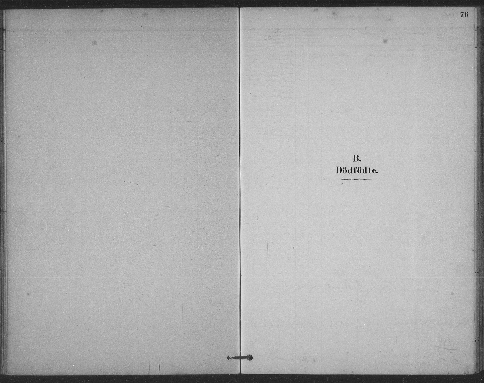 Ministerialprotokoller, klokkerbøker og fødselsregistre - Møre og Romsdal, AV/SAT-A-1454/524/L0356: Ministerialbok nr. 524A08, 1880-1899, s. 76