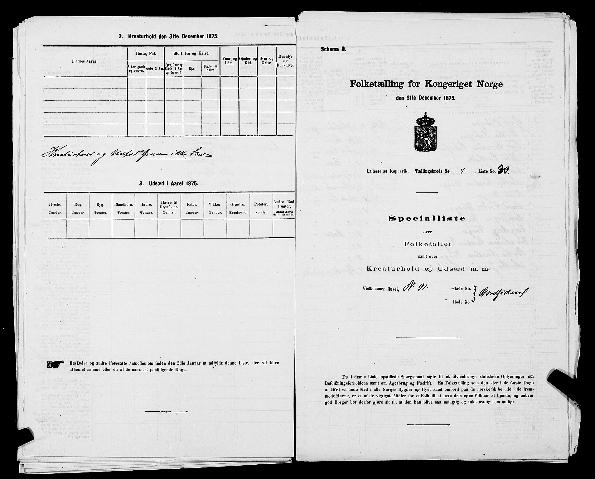 SAST, Folketelling 1875 for 1105B Avaldsnes prestegjeld, Kopervik ladested, 1875, s. 62