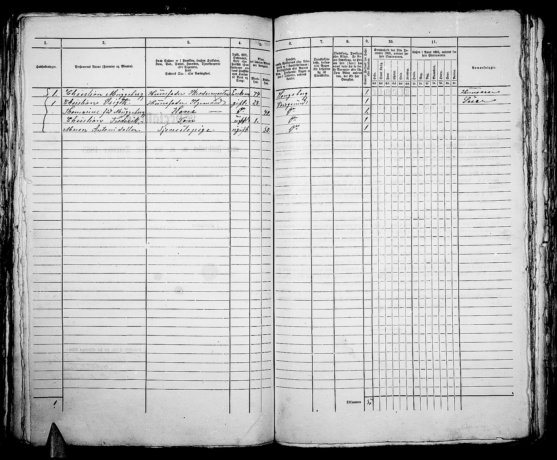 RA, Folketelling 1865 for 0805P Porsgrunn prestegjeld, 1865, s. 705