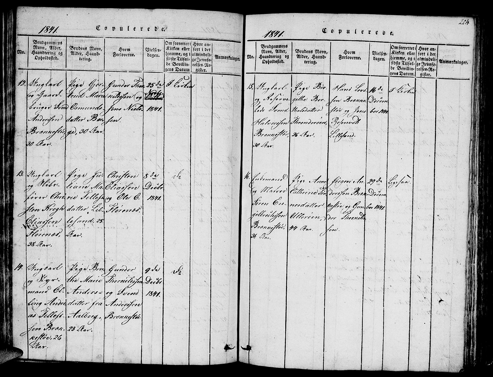 Vestre Moland sokneprestkontor, AV/SAK-1111-0046/F/Fb/Fbb/L0001: Klokkerbok nr. B 1, 1816-1851, s. 204