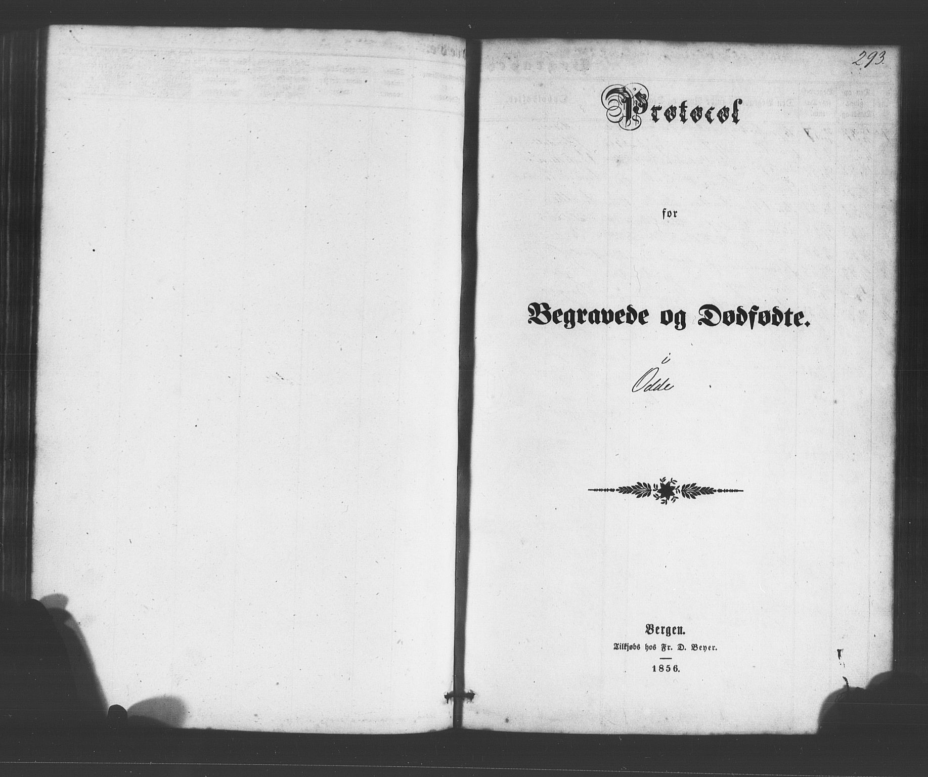 Odda Sokneprestembete, SAB/A-77201/H/Hab: Klokkerbok nr. A 4, 1858-1886, s. 293