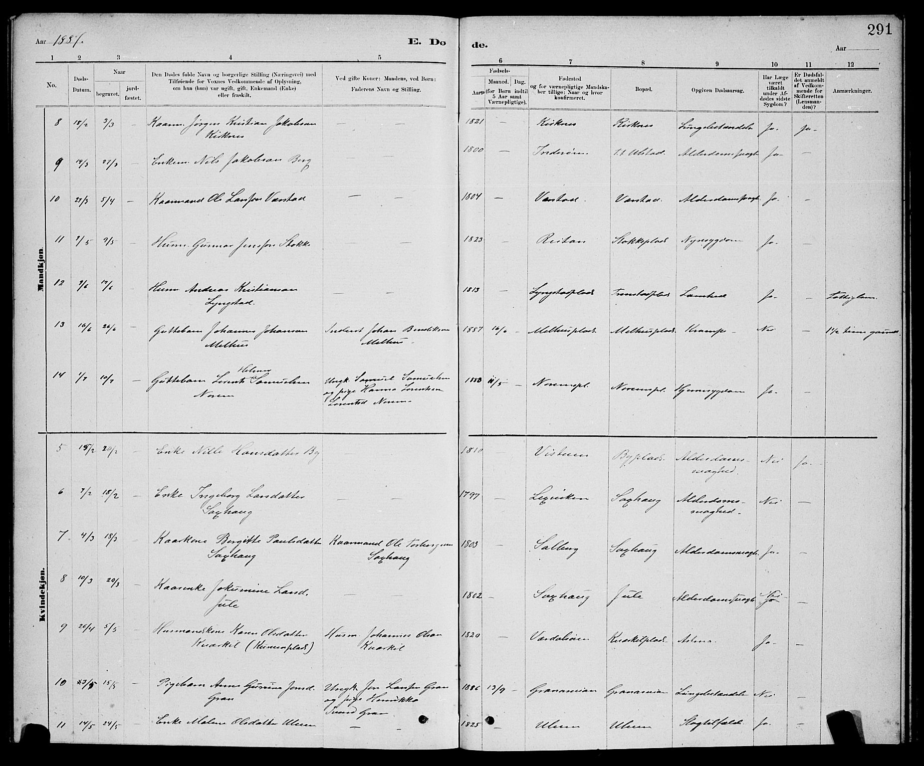 Ministerialprotokoller, klokkerbøker og fødselsregistre - Nord-Trøndelag, SAT/A-1458/730/L0301: Klokkerbok nr. 730C04, 1880-1897, s. 291