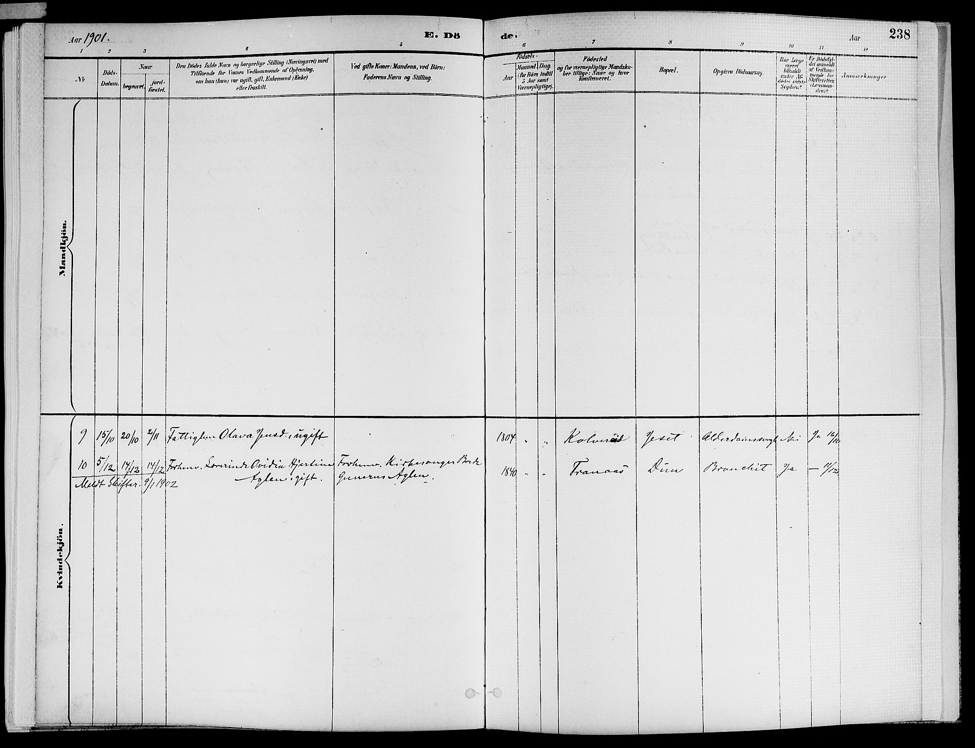 Ministerialprotokoller, klokkerbøker og fødselsregistre - Nord-Trøndelag, SAT/A-1458/773/L0617: Ministerialbok nr. 773A08, 1887-1910, s. 238