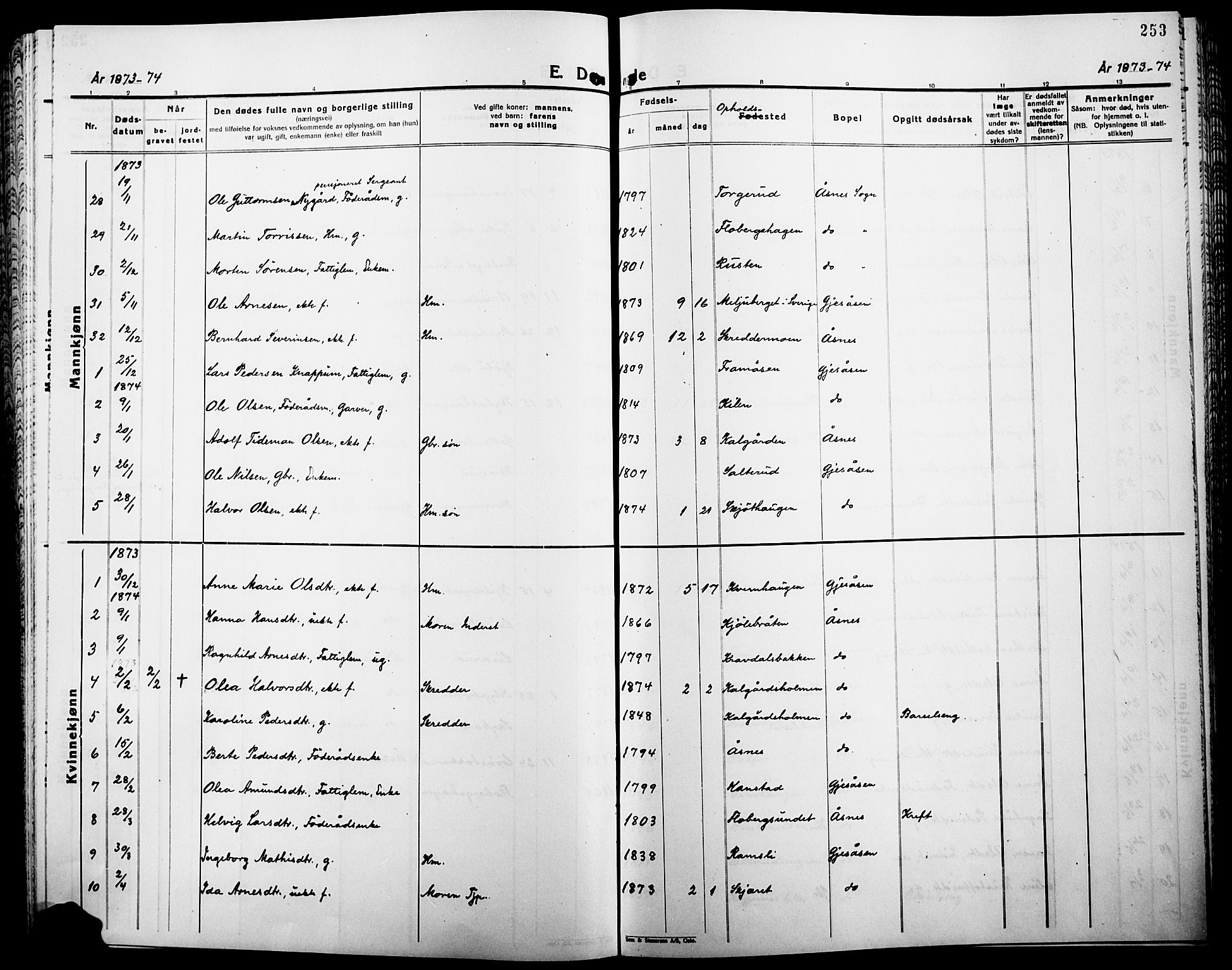 Åsnes prestekontor, SAH/PREST-042/H/Ha/Haa/L0000B: Ministerialbok, 1870-1889, s. 253