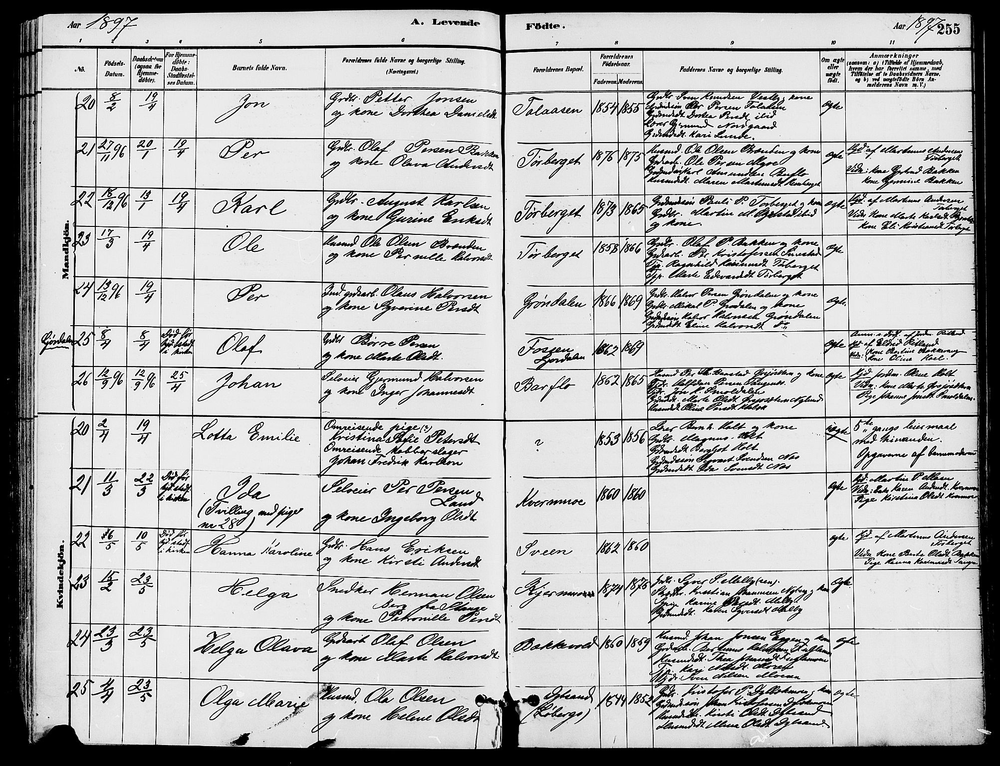 Trysil prestekontor, AV/SAH-PREST-046/H/Ha/Haa/L0008: Ministerialbok nr. 8, 1881-1897, s. 255