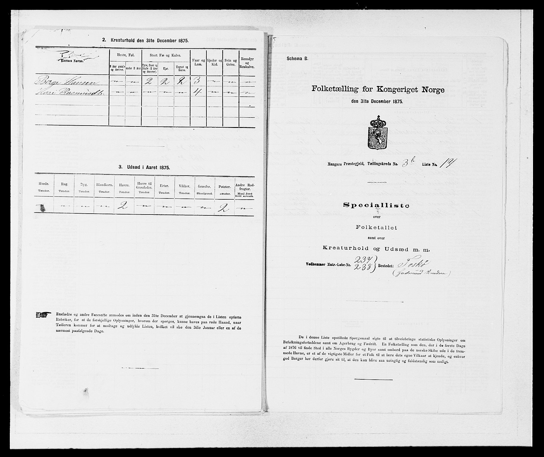 SAB, Folketelling 1875 for 1261P Manger prestegjeld, 1875, s. 507