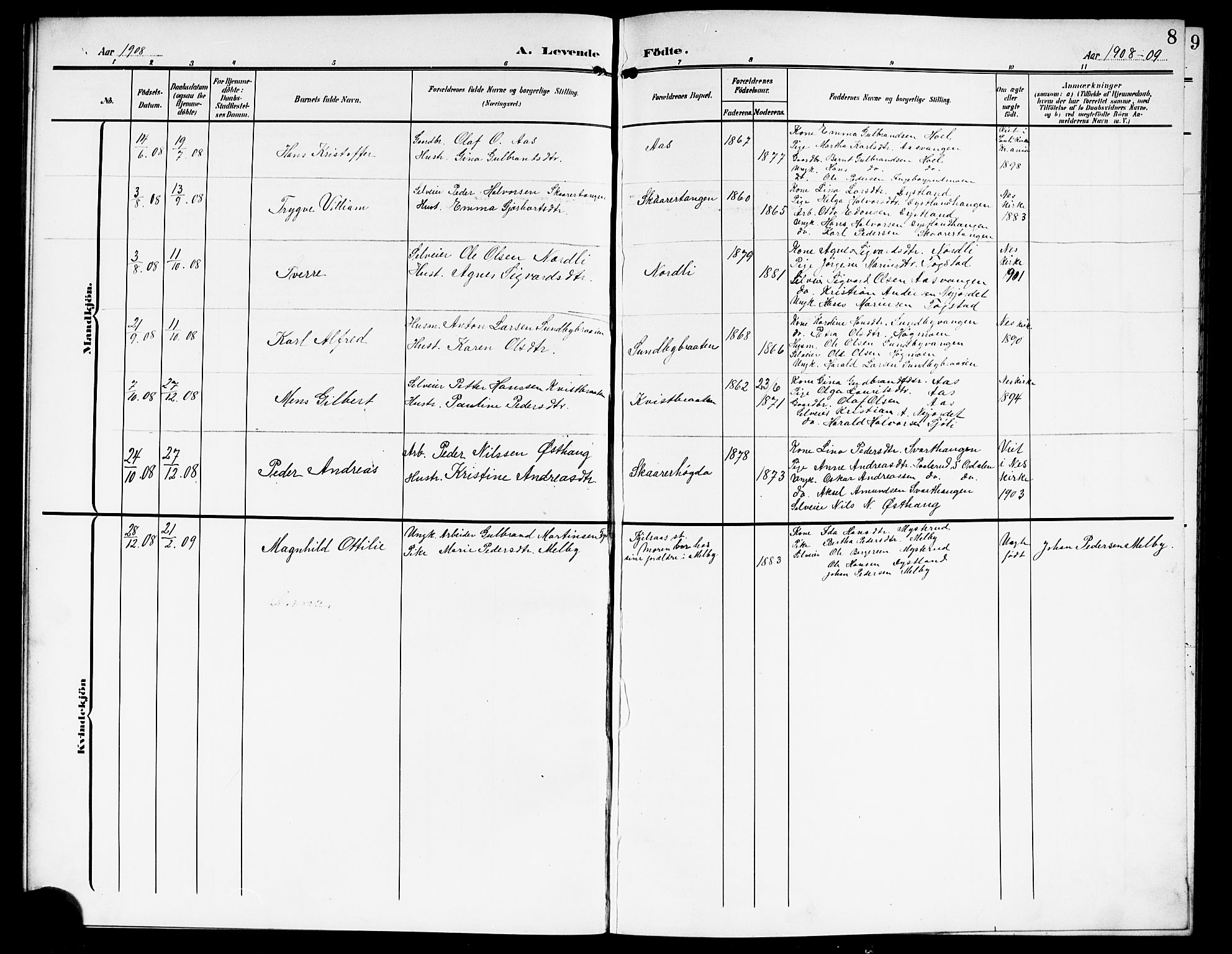 Nes prestekontor Kirkebøker, AV/SAO-A-10410/G/Gd/L0001: Klokkerbok nr. IV 1, 1907-1922, s. 8