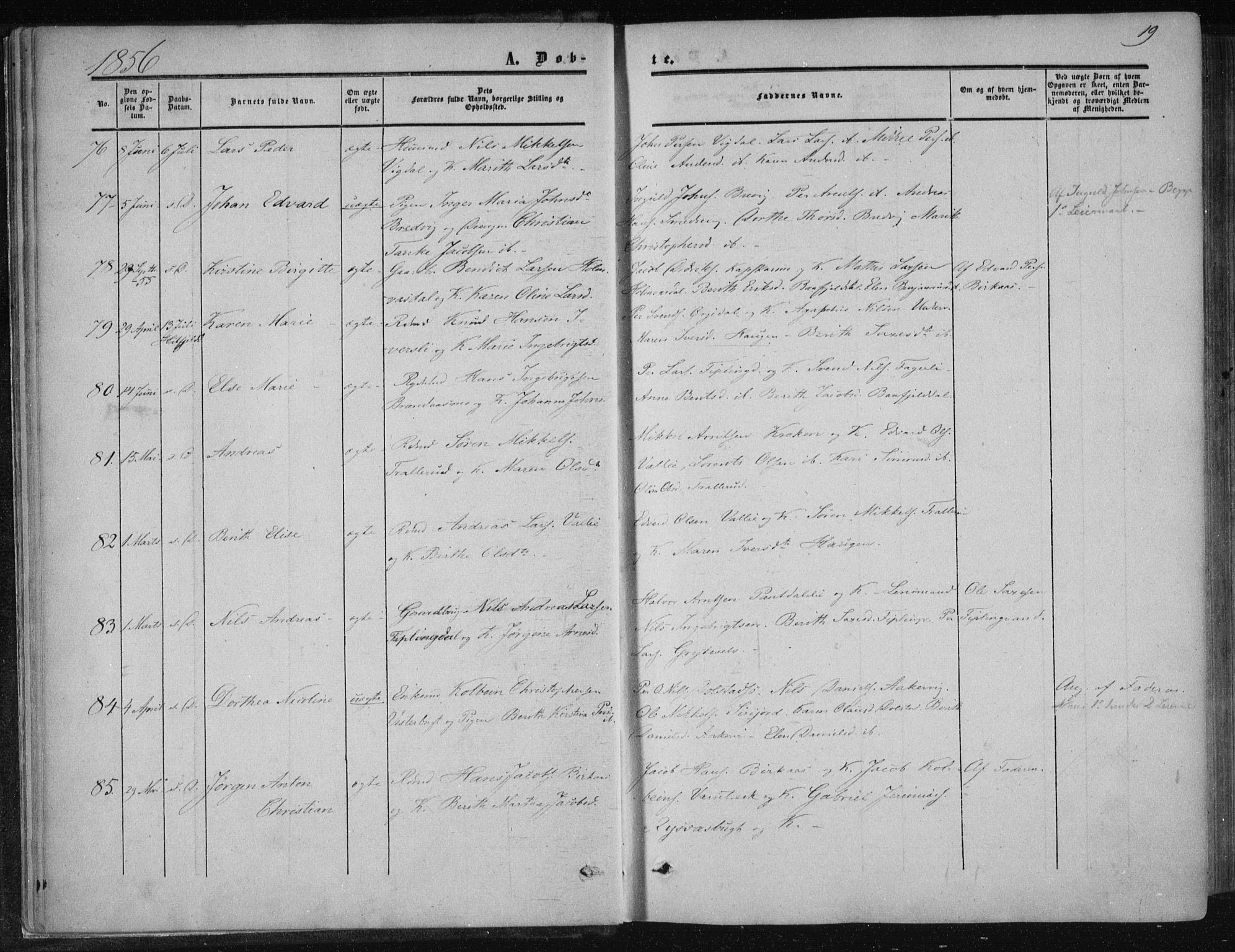 Ministerialprotokoller, klokkerbøker og fødselsregistre - Nordland, SAT/A-1459/820/L0293: Ministerialbok nr. 820A14, 1855-1865, s. 19