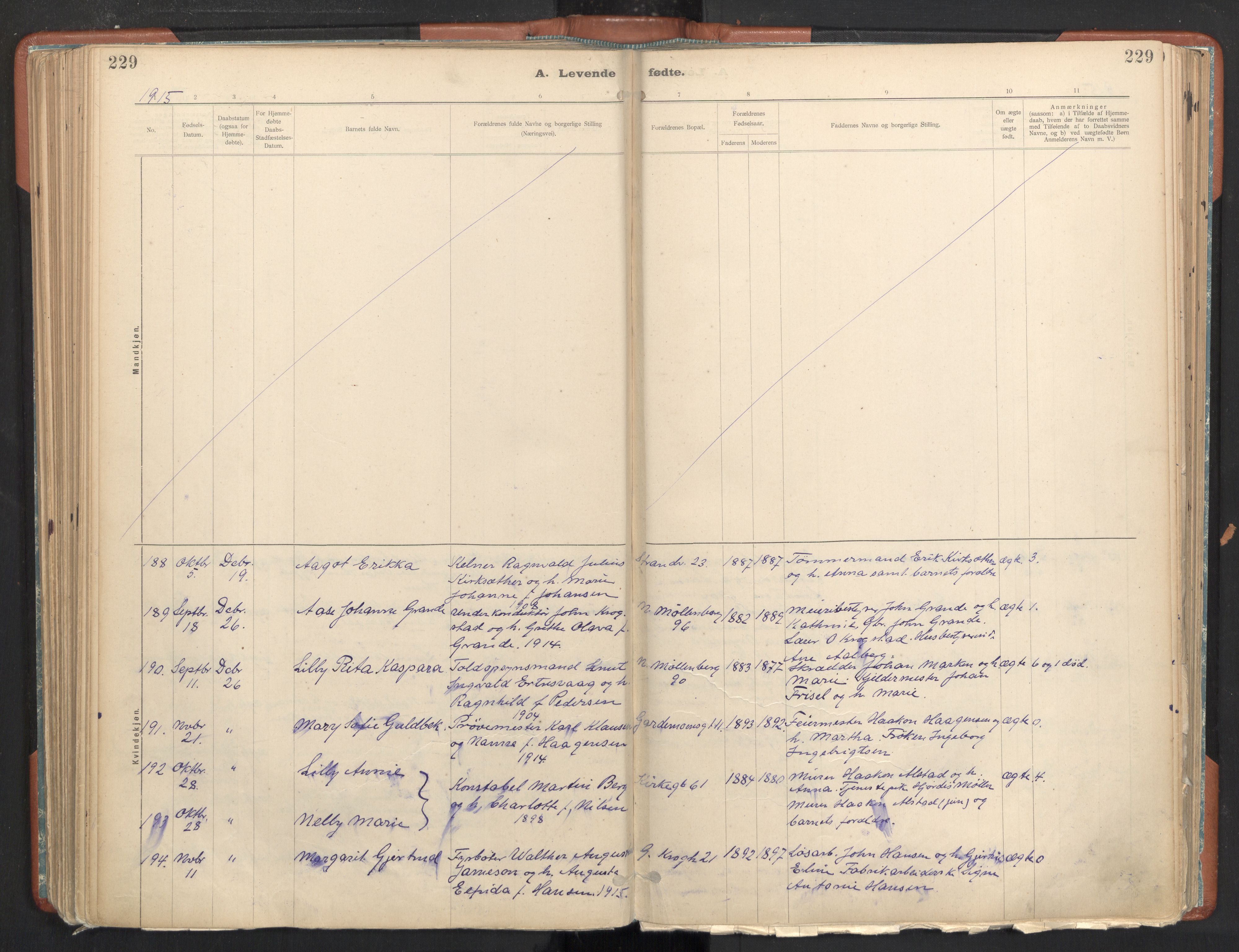 Ministerialprotokoller, klokkerbøker og fødselsregistre - Sør-Trøndelag, AV/SAT-A-1456/605/L0243: Ministerialbok nr. 605A05, 1908-1923, s. 229