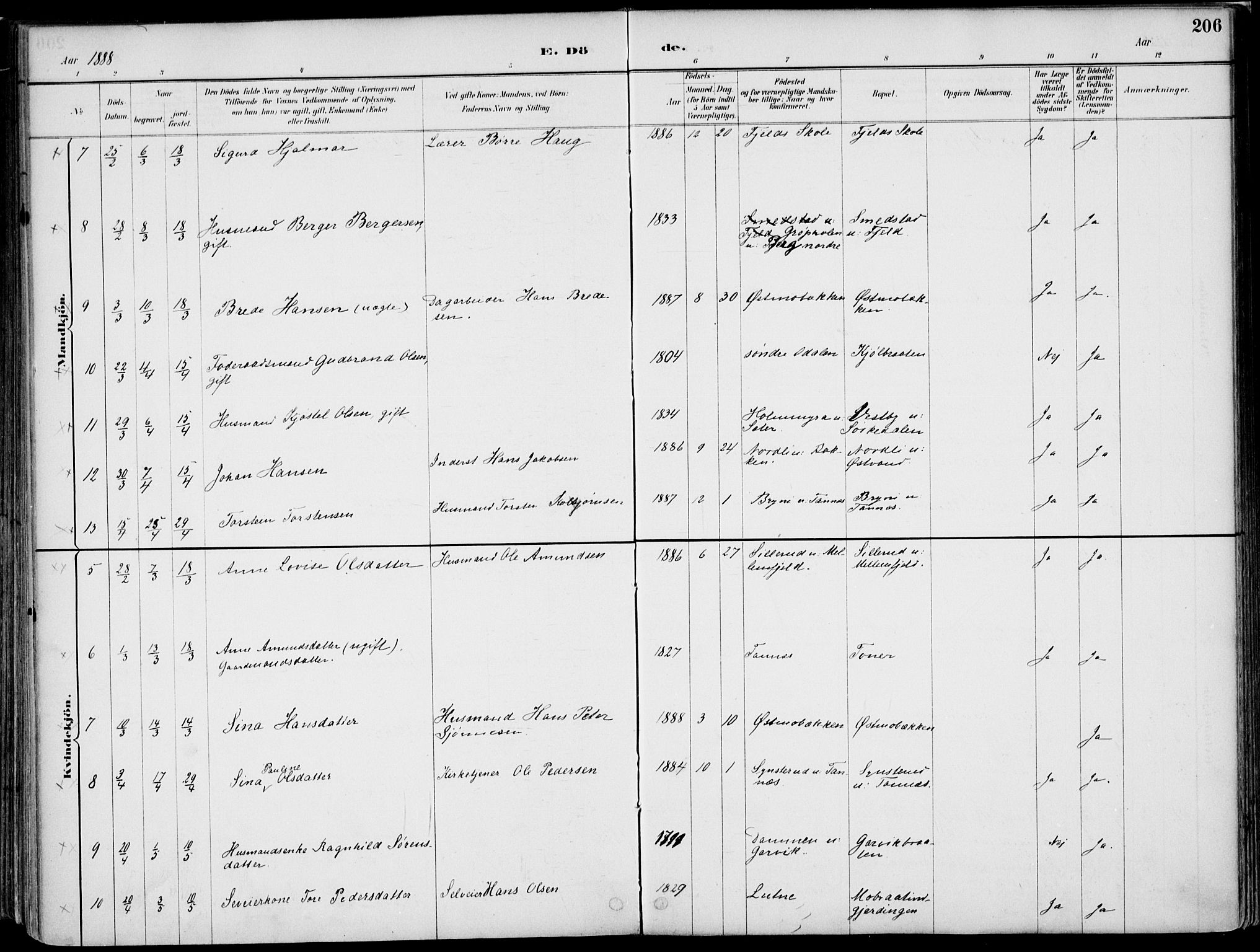 Nord-Odal prestekontor, AV/SAH-PREST-032/H/Ha/Haa/L0008: Ministerialbok nr. 8, 1886-1901, s. 206