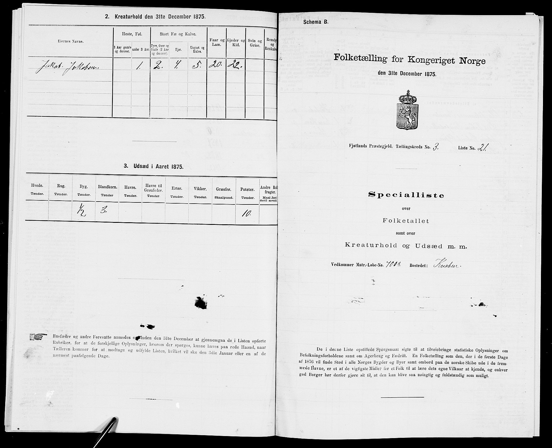 SAK, Folketelling 1875 for 1036P Fjotland prestegjeld, 1875, s. 201