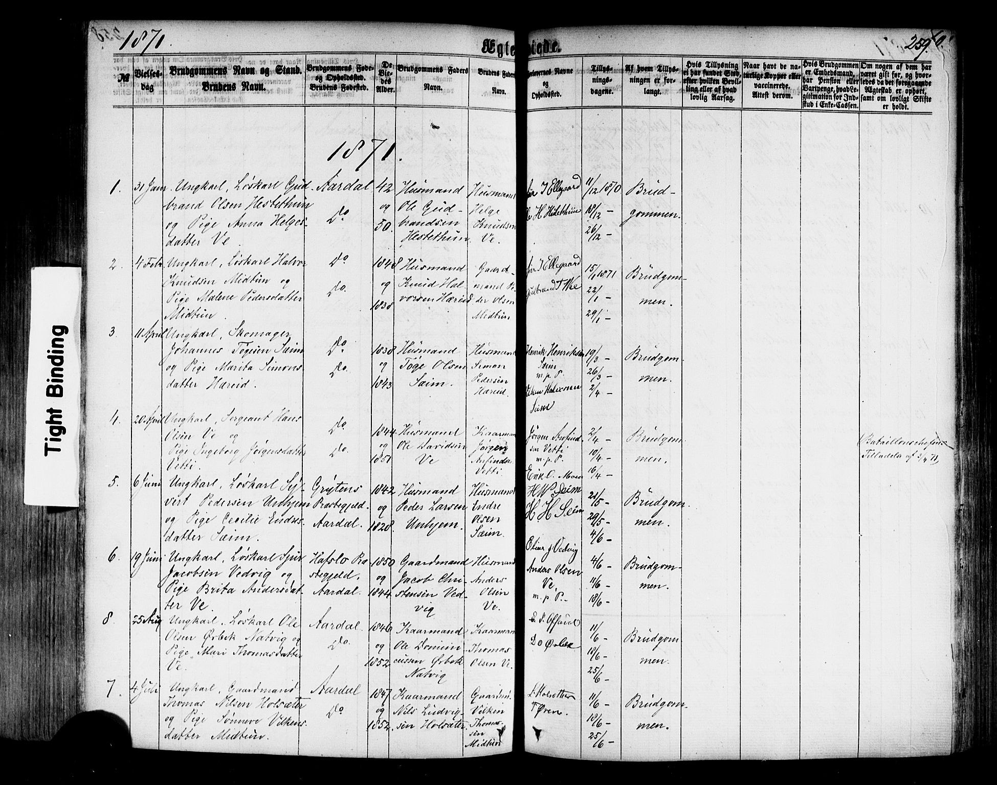 Årdal sokneprestembete, AV/SAB-A-81701: Ministerialbok nr. A 3, 1863-1886, s. 259