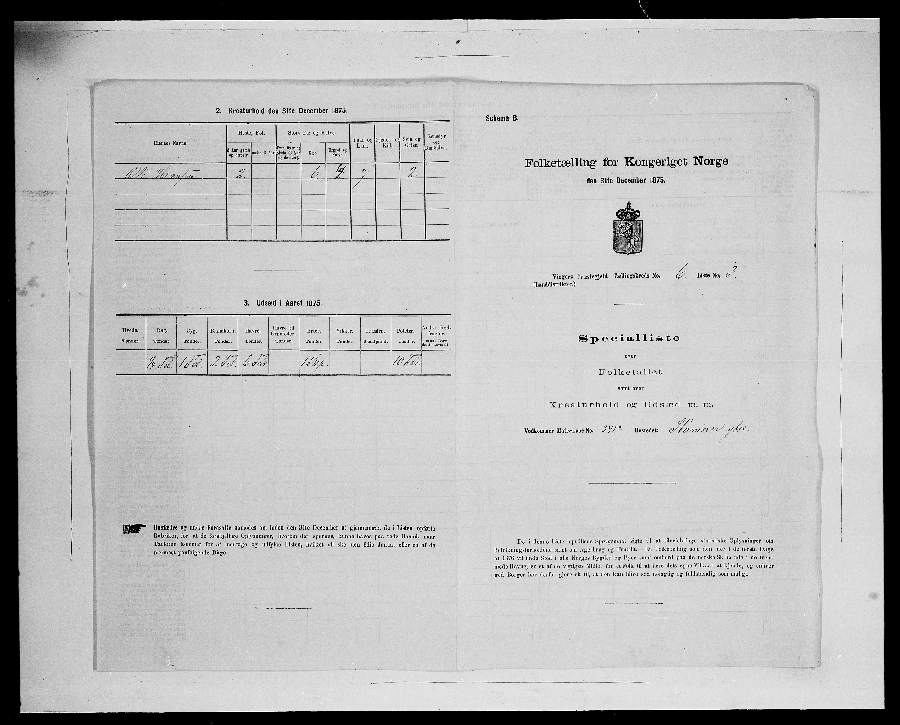 SAH, Folketelling 1875 for 0421L Vinger prestegjeld, Vinger sokn og Austmarka sokn, 1875, s. 945