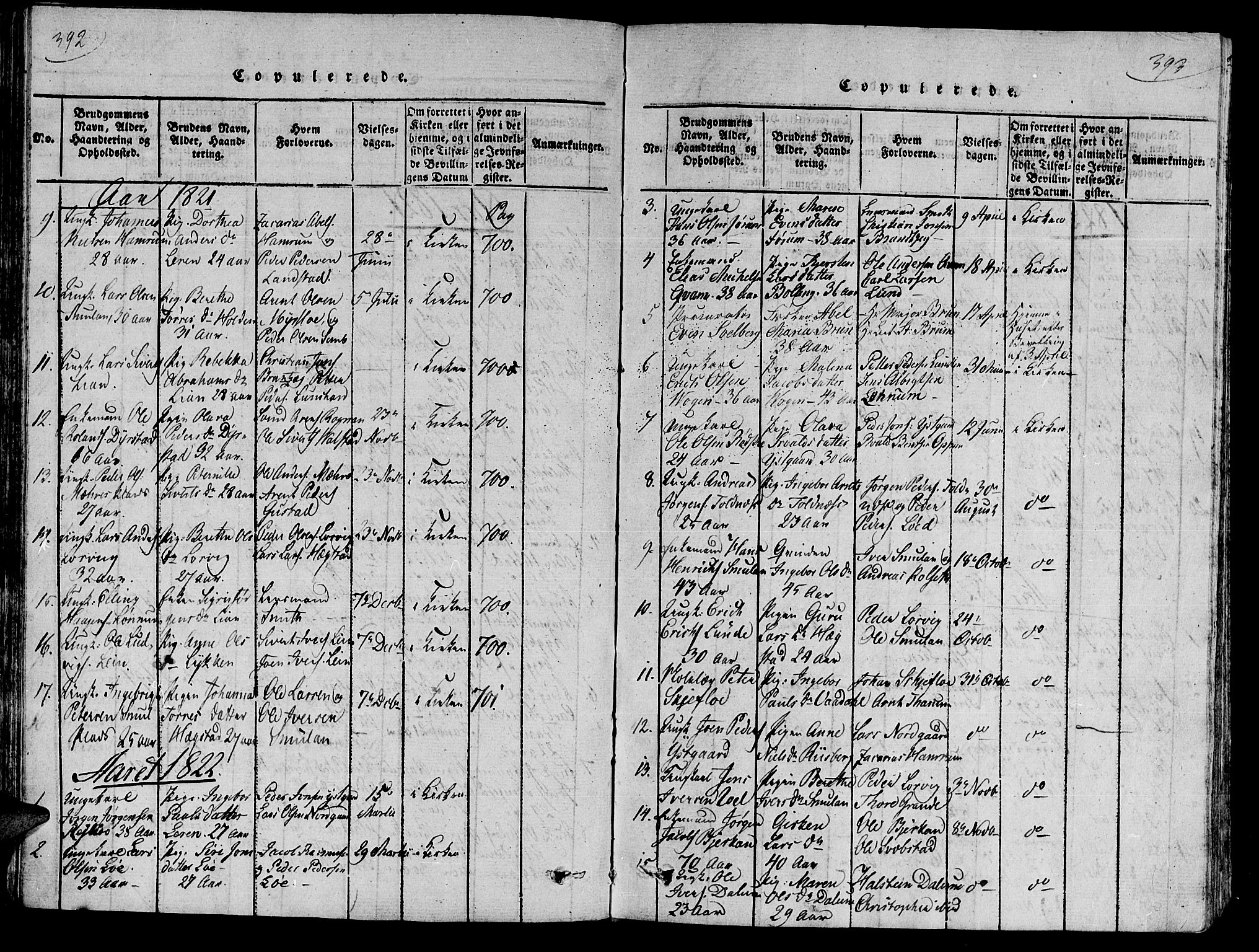 Ministerialprotokoller, klokkerbøker og fødselsregistre - Nord-Trøndelag, AV/SAT-A-1458/735/L0333: Ministerialbok nr. 735A04 /1, 1816-1824, s. 392-393