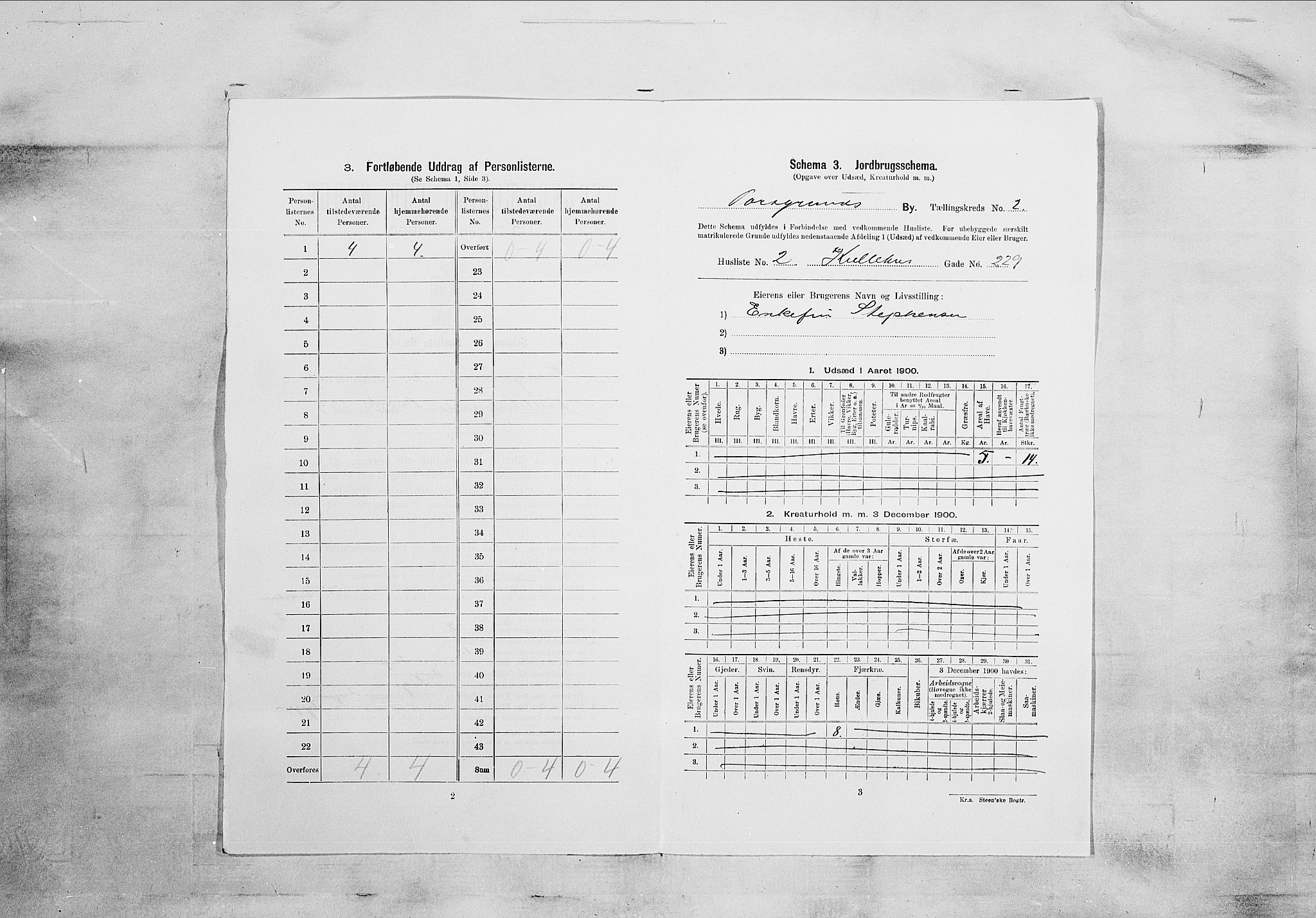 SAKO, Folketelling 1900 for 0805 Porsgrunn kjøpstad, 1900, s. 167