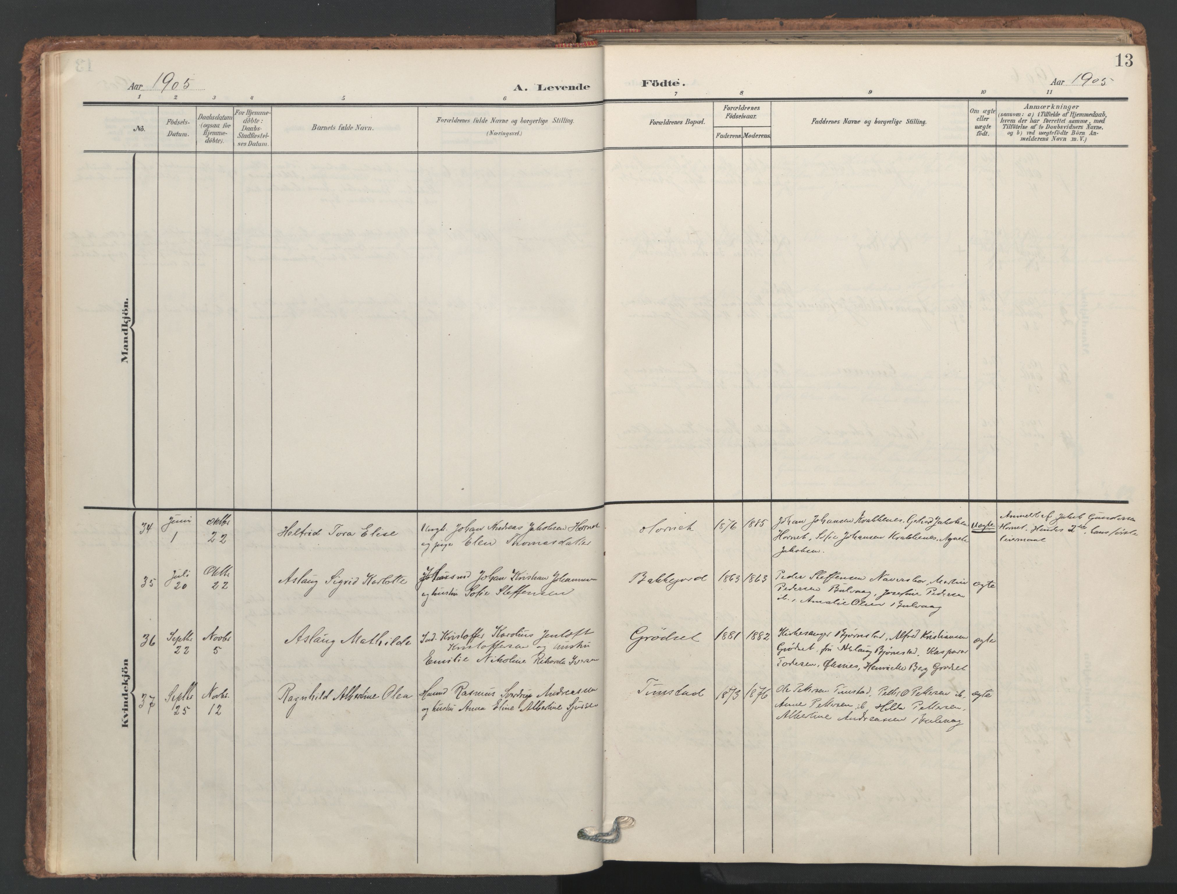 Ministerialprotokoller, klokkerbøker og fødselsregistre - Nordland, AV/SAT-A-1459/893/L1339: Ministerialbok nr. 893A11, 1904-1914, s. 13