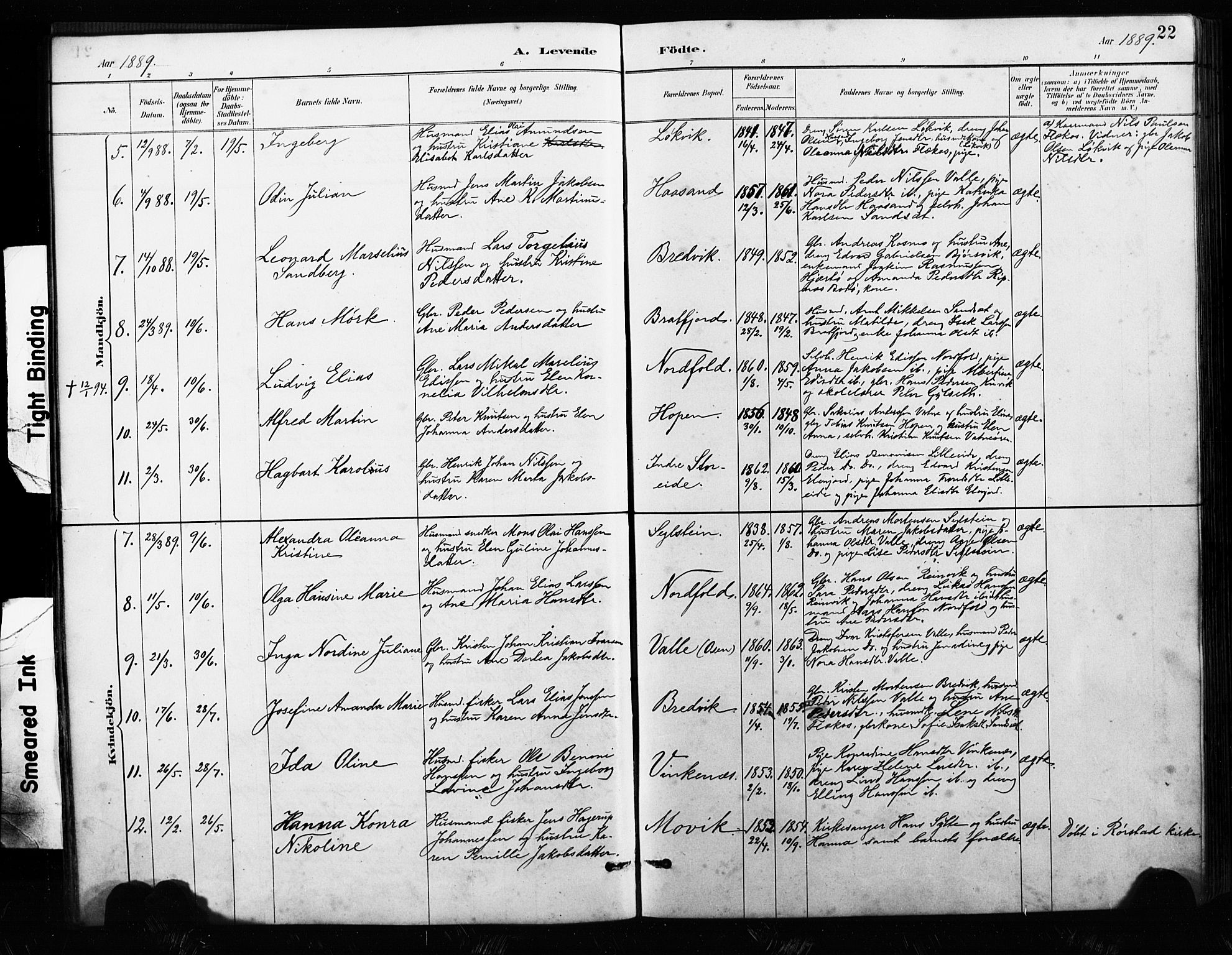 Ministerialprotokoller, klokkerbøker og fødselsregistre - Nordland, AV/SAT-A-1459/858/L0834: Klokkerbok nr. 858C01, 1884-1904, s. 22