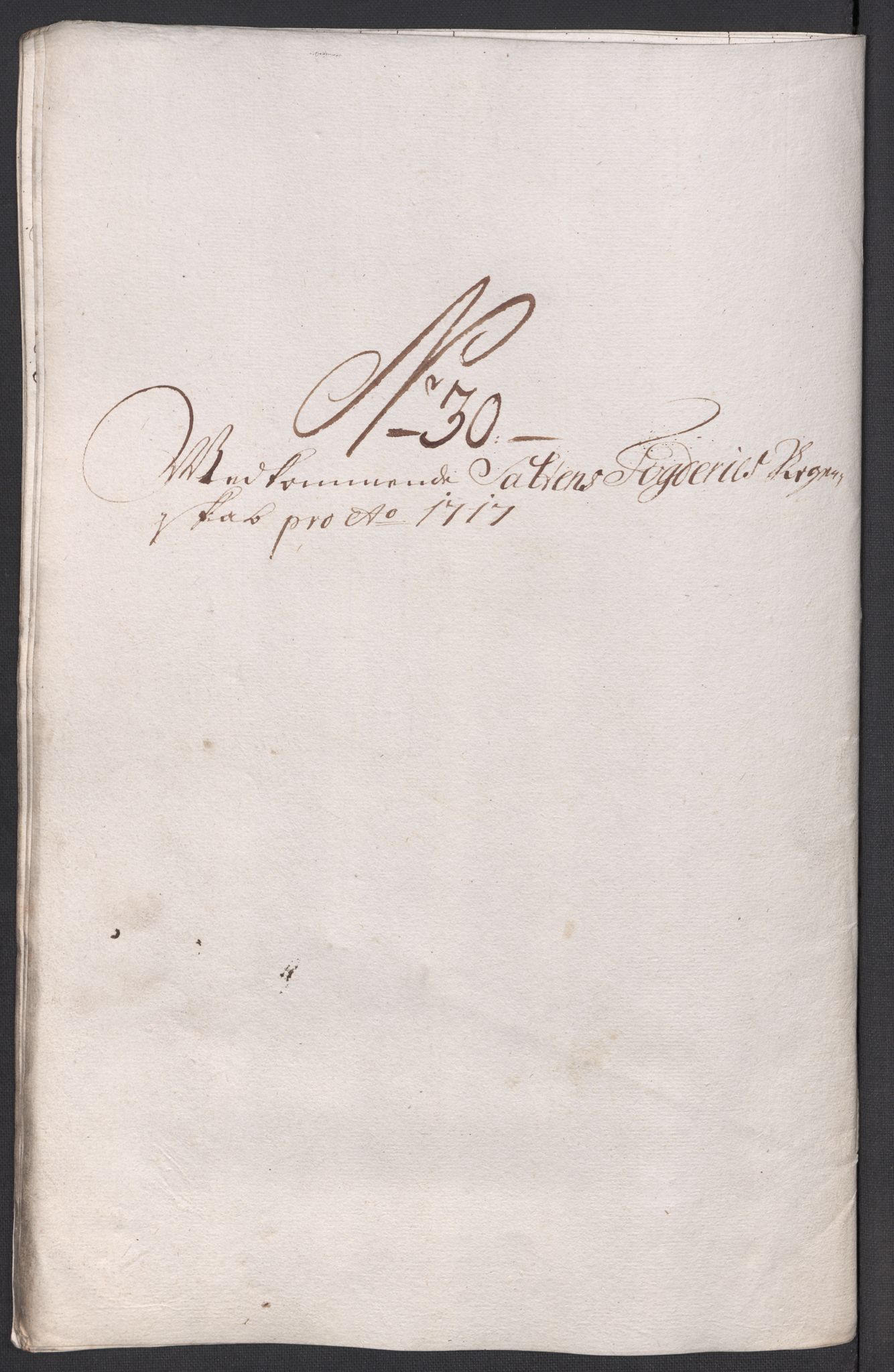 Rentekammeret inntil 1814, Reviderte regnskaper, Fogderegnskap, AV/RA-EA-4092/R66/L4587: Fogderegnskap Salten, 1717, s. 226