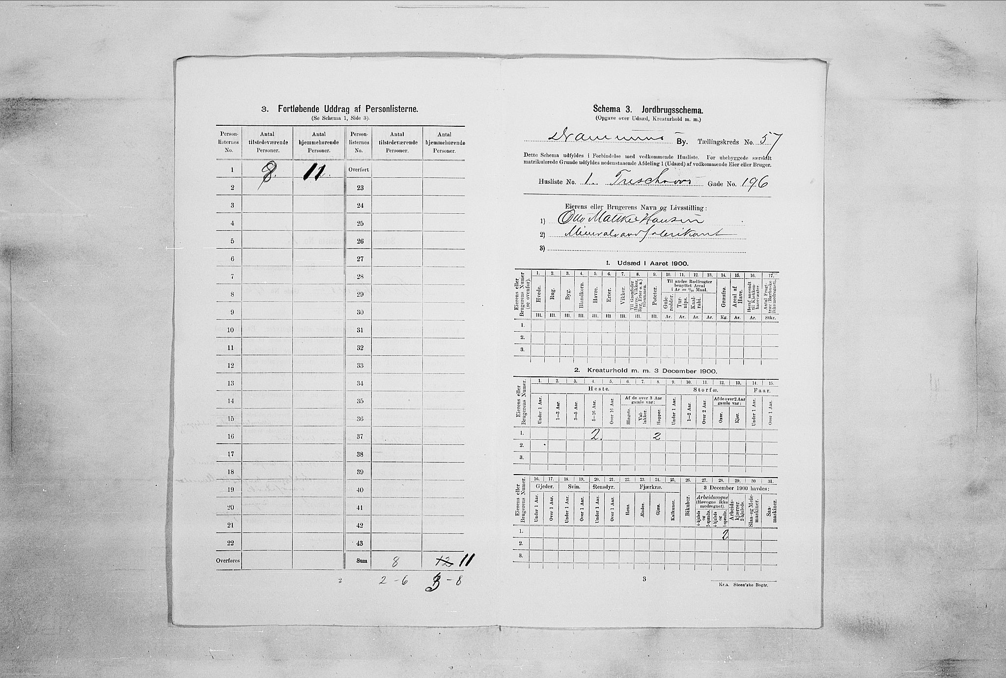 RA, Folketelling 1900 for 0602 Drammen kjøpstad, 1900, s. 13955