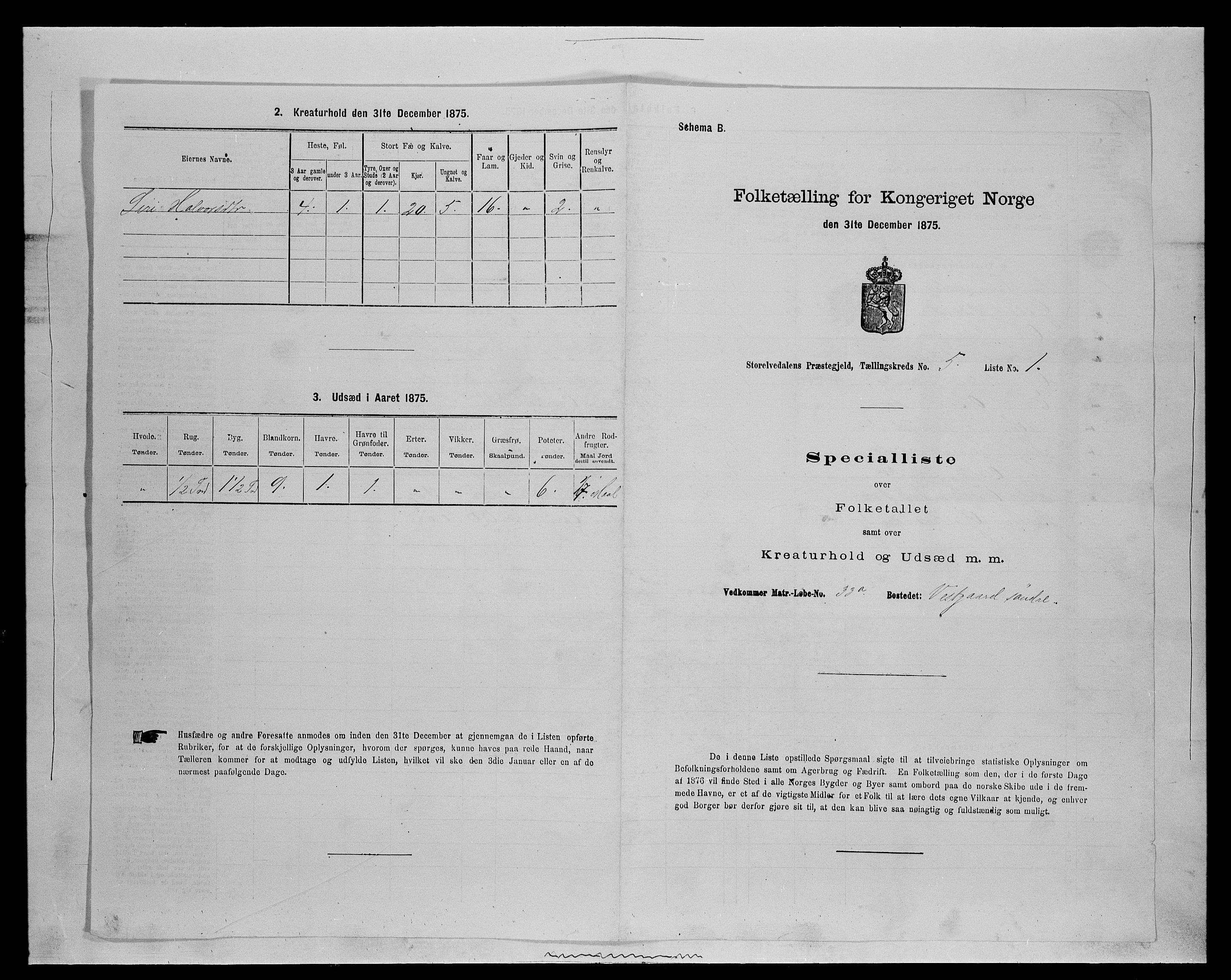 SAH, Folketelling 1875 for 0430P Stor-Elvdal prestegjeld, 1875, s. 533