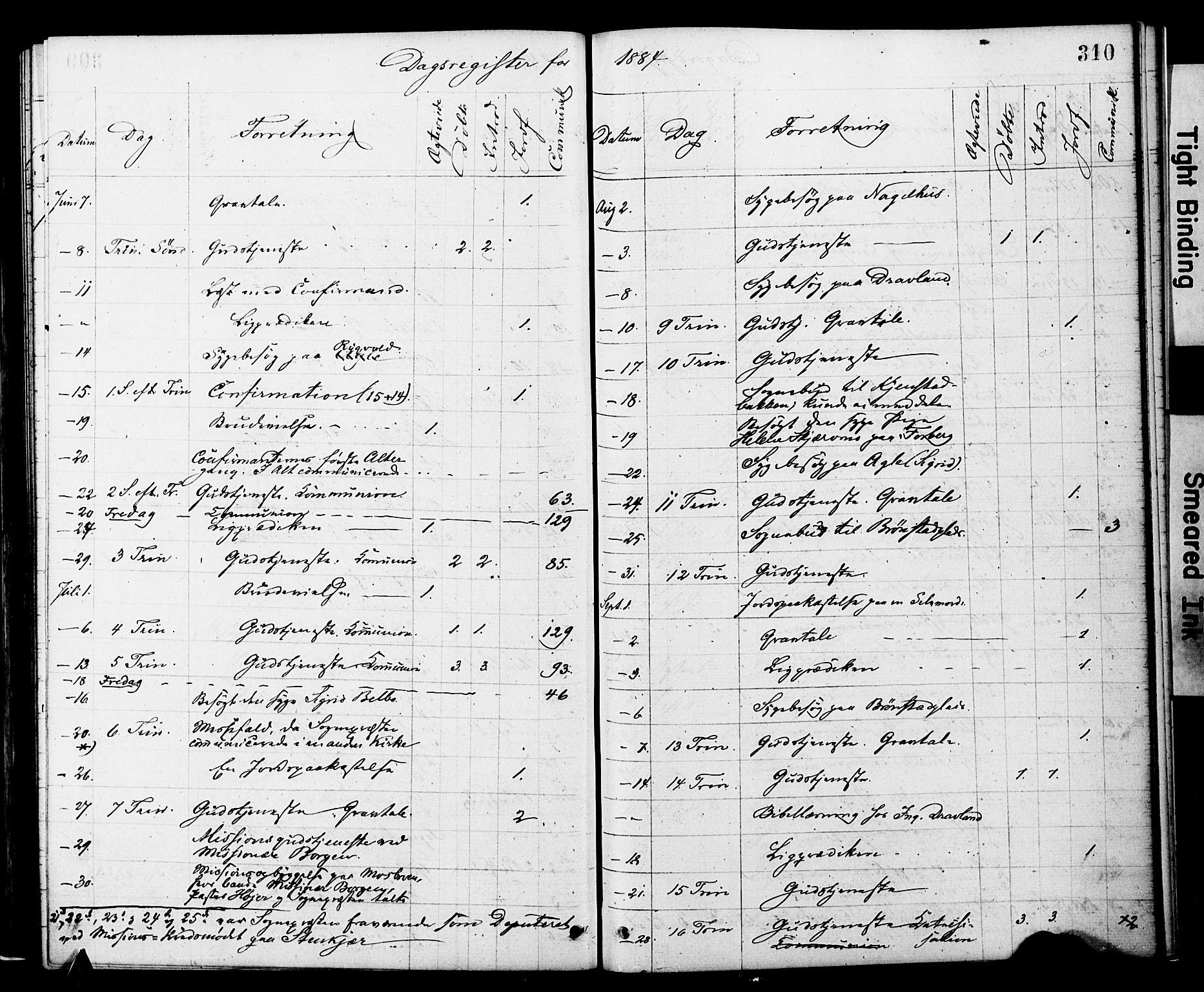 Ministerialprotokoller, klokkerbøker og fødselsregistre - Nord-Trøndelag, SAT/A-1458/749/L0473: Ministerialbok nr. 749A07, 1873-1887, s. 310