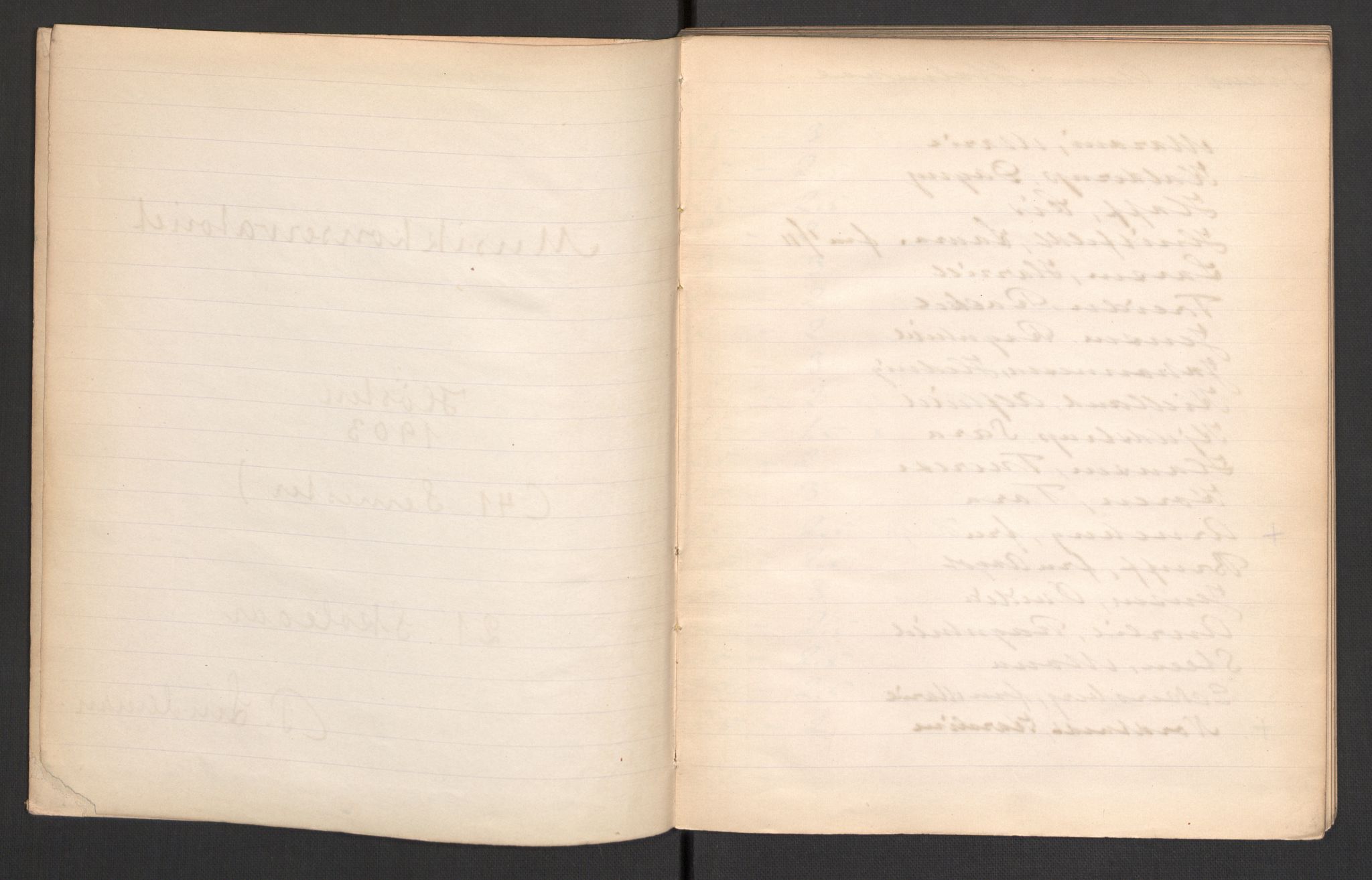 Musikkonservatoriet i Oslo, AV/RA-PA-1761/F/Fa/L0003/0001: Oversikt over lærere, elever, m.m. / Musikkonservatoriet - Høstsemesteret , 1903