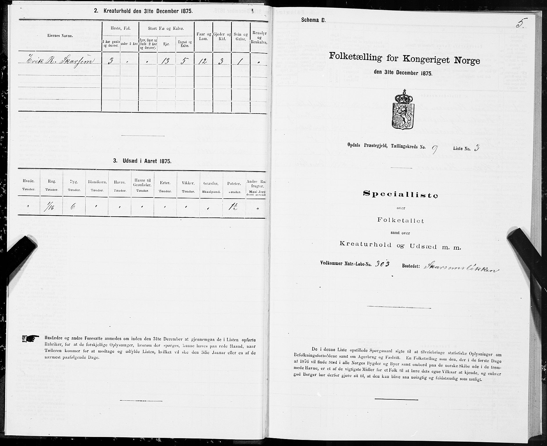 SAT, Folketelling 1875 for 1634P Oppdal prestegjeld, 1875, s. 6005