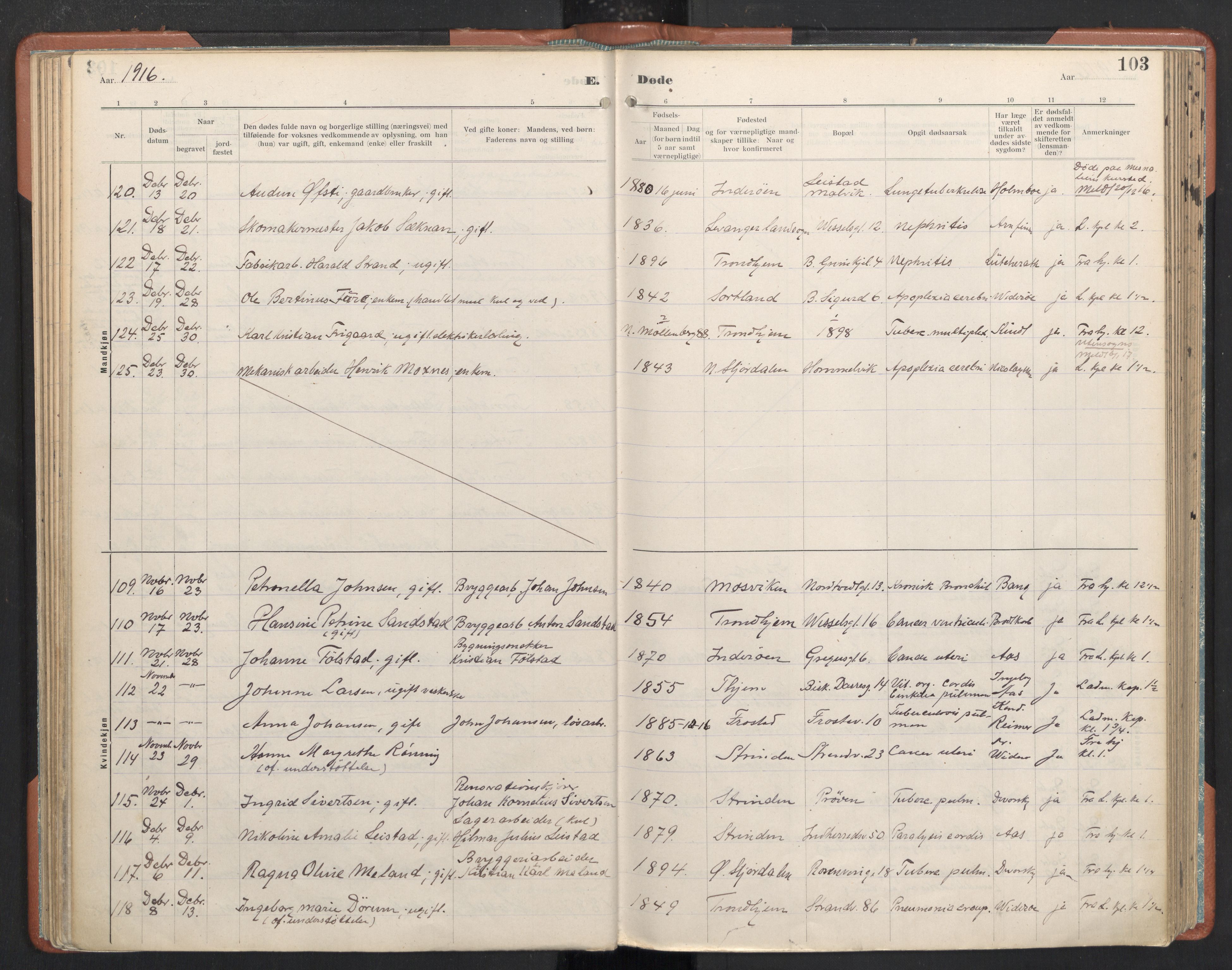 Ministerialprotokoller, klokkerbøker og fødselsregistre - Sør-Trøndelag, SAT/A-1456/605/L0245: Ministerialbok nr. 605A07, 1916-1938, s. 103