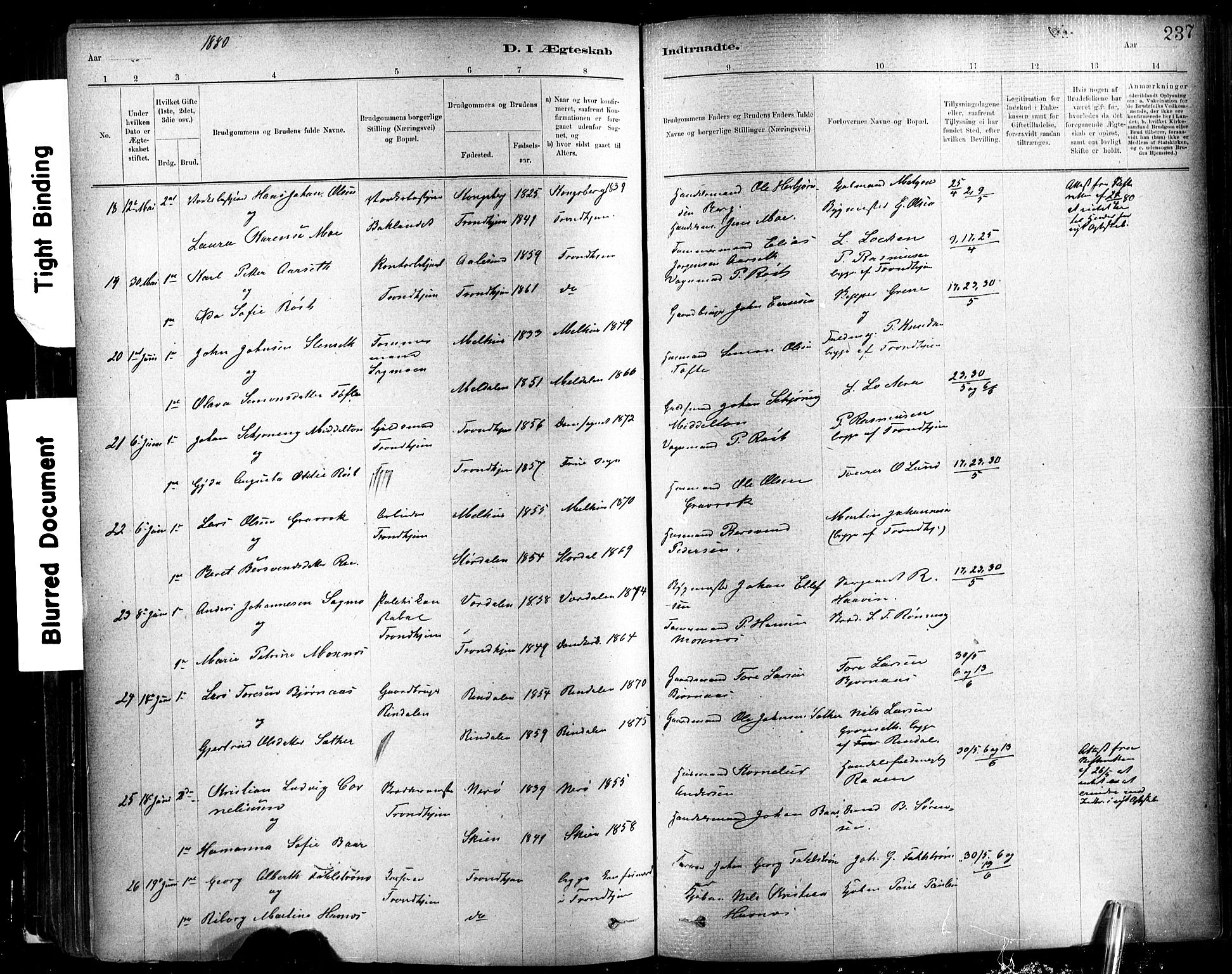 Ministerialprotokoller, klokkerbøker og fødselsregistre - Sør-Trøndelag, SAT/A-1456/602/L0119: Ministerialbok nr. 602A17, 1880-1901, s. 237