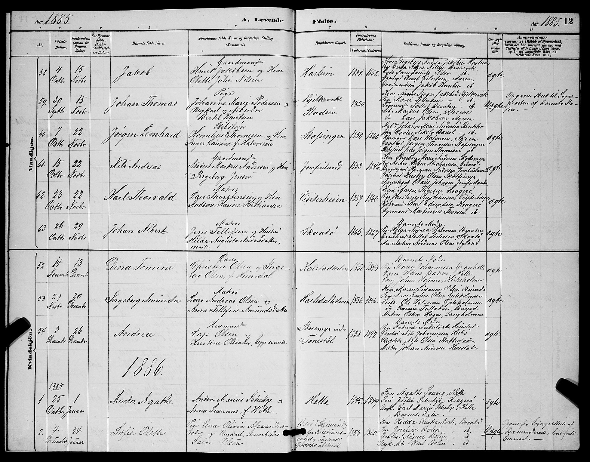 Skåtøy kirkebøker, AV/SAKO-A-304/G/Ga/L0003: Klokkerbok nr. I 3, 1884-1898, s. 12