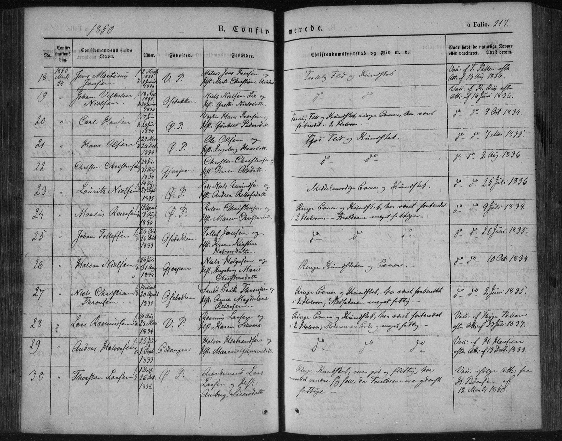 Porsgrunn kirkebøker , AV/SAKO-A-104/F/Fa/L0006: Ministerialbok nr. 6, 1841-1857, s. 217
