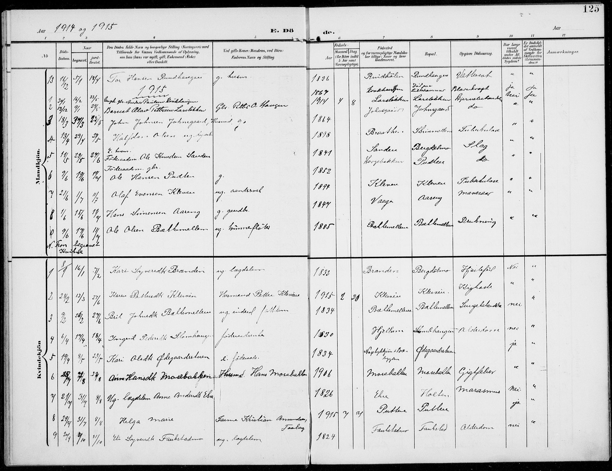 Sel prestekontor, AV/SAH-PREST-074/H/Ha/Haa/L0001: Ministerialbok nr. 1, 1905-1922, s. 125