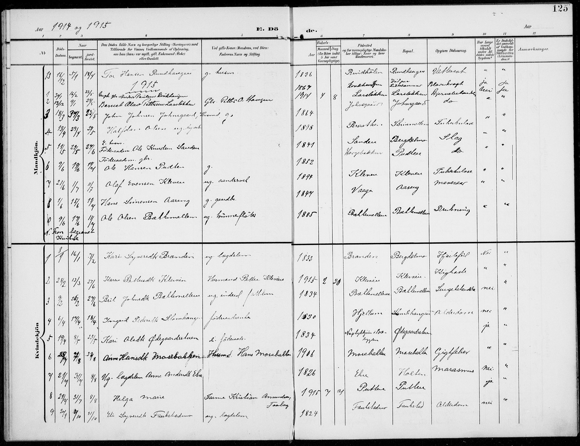 Sel prestekontor, SAH/PREST-074/H/Ha/Haa/L0001: Ministerialbok nr. 1, 1905-1922, s. 125