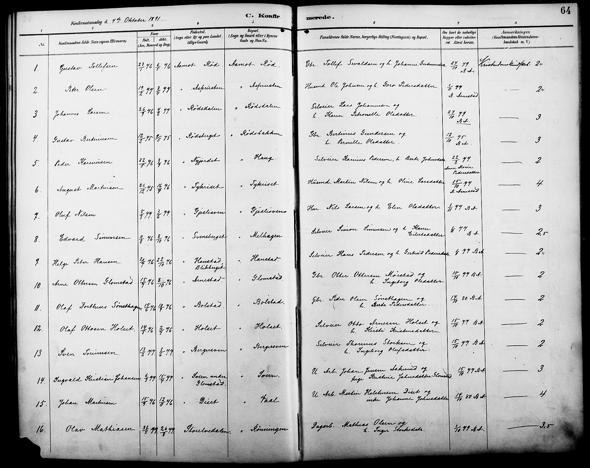 Åmot prestekontor, Hedmark, AV/SAH-PREST-056/H/Ha/Haa/L0011: Ministerialbok nr. 11, 1890-1897, s. 64