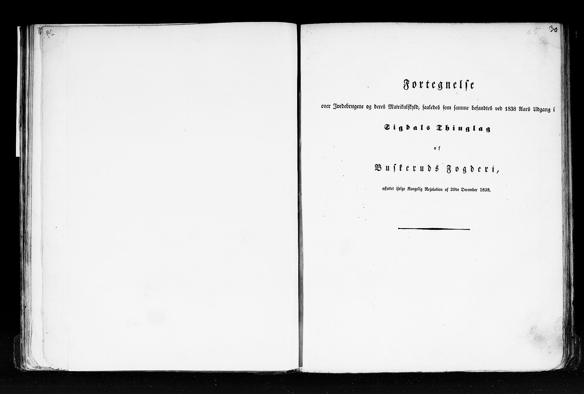 Rygh, RA/PA-0034/F/Fb/L0005: Matrikkelen for 1838 - Buskerud amt (Buskerud fylke), 1838, s. 30a