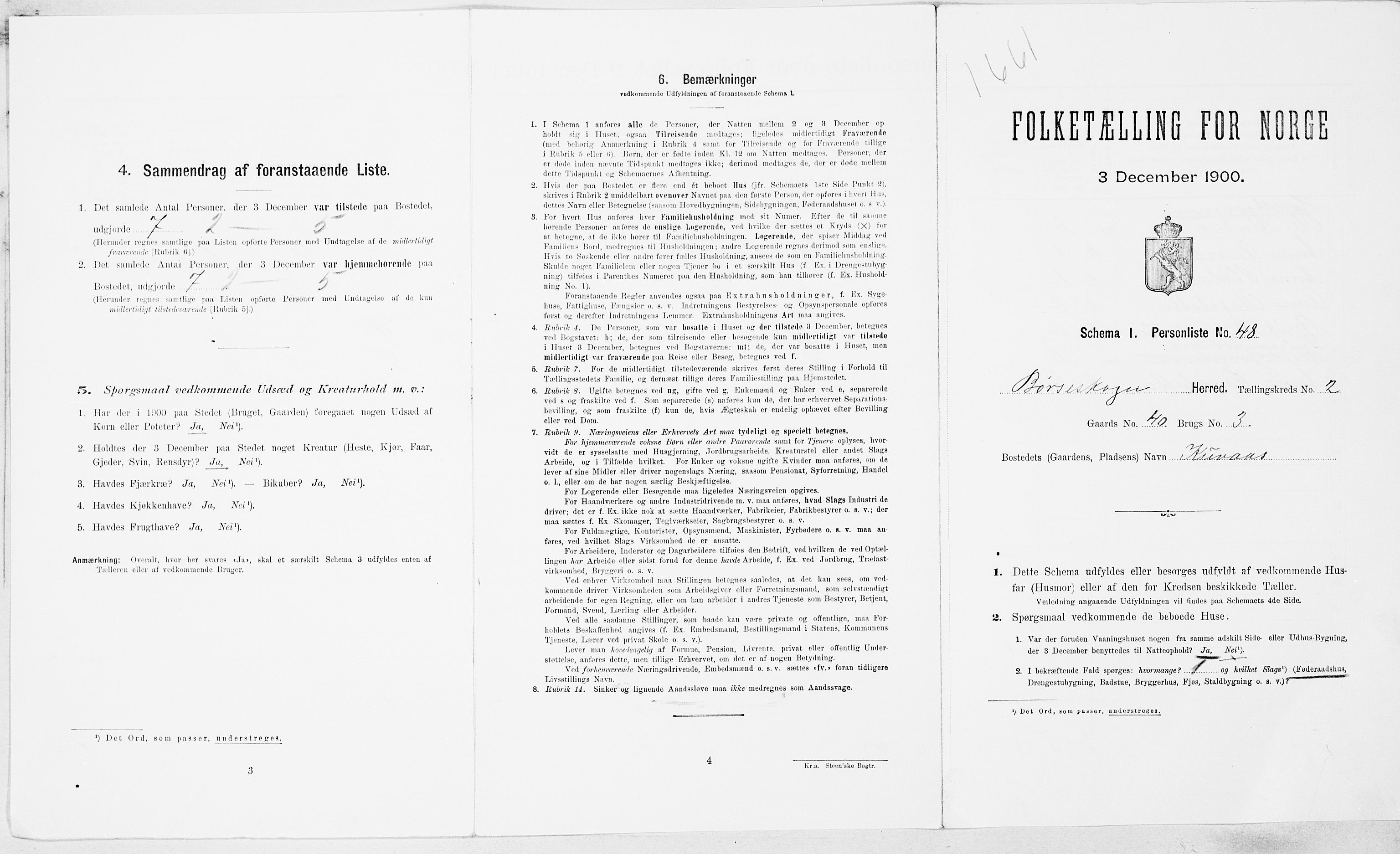 SAT, Folketelling 1900 for 1657 Børseskogn herred, 1900, s. 270