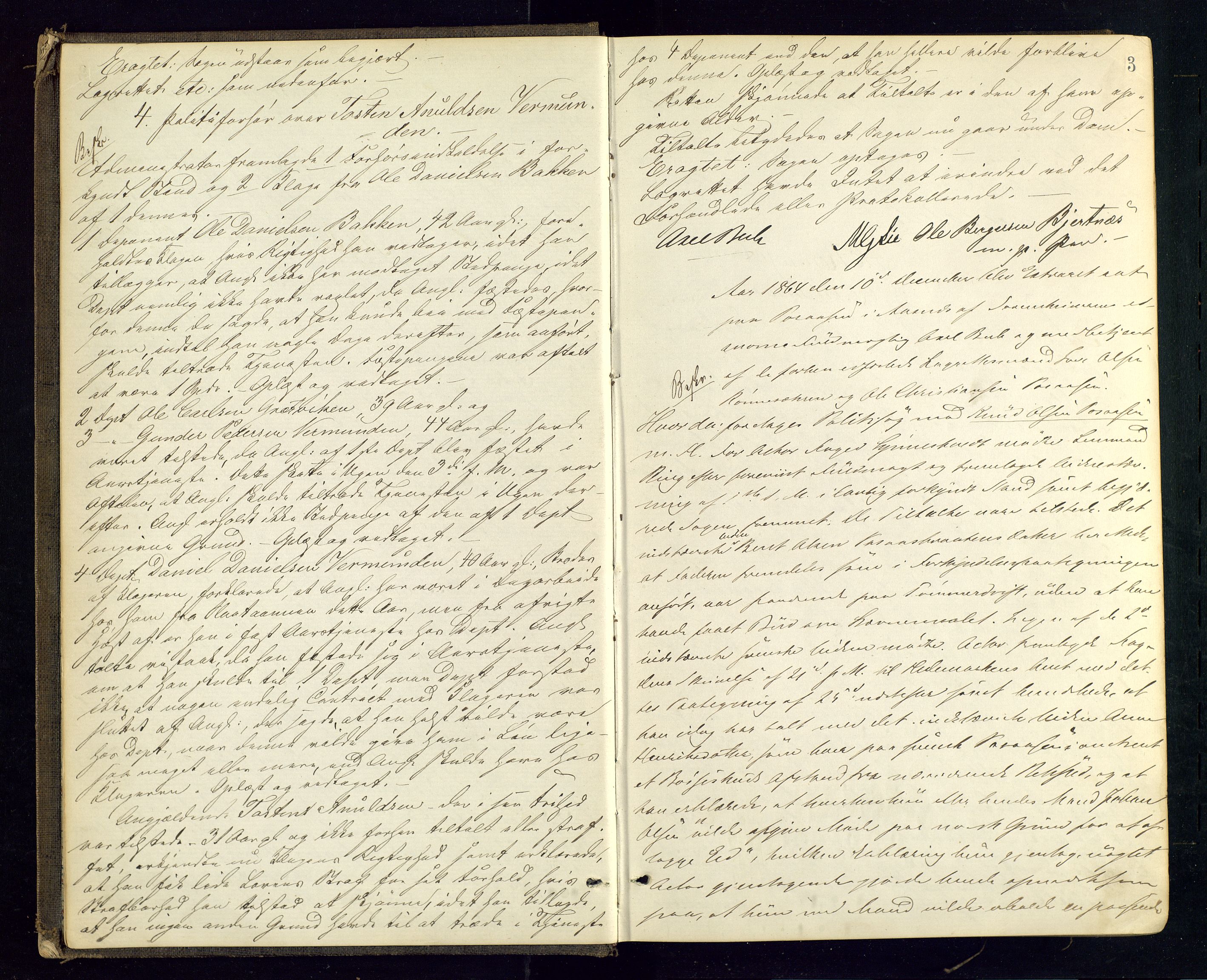 Solør tingrett, AV/SAH-TING-008/G/Gc/Gca/L0012: Ekstrarettsprotokoll, 1864-1869, s. 3