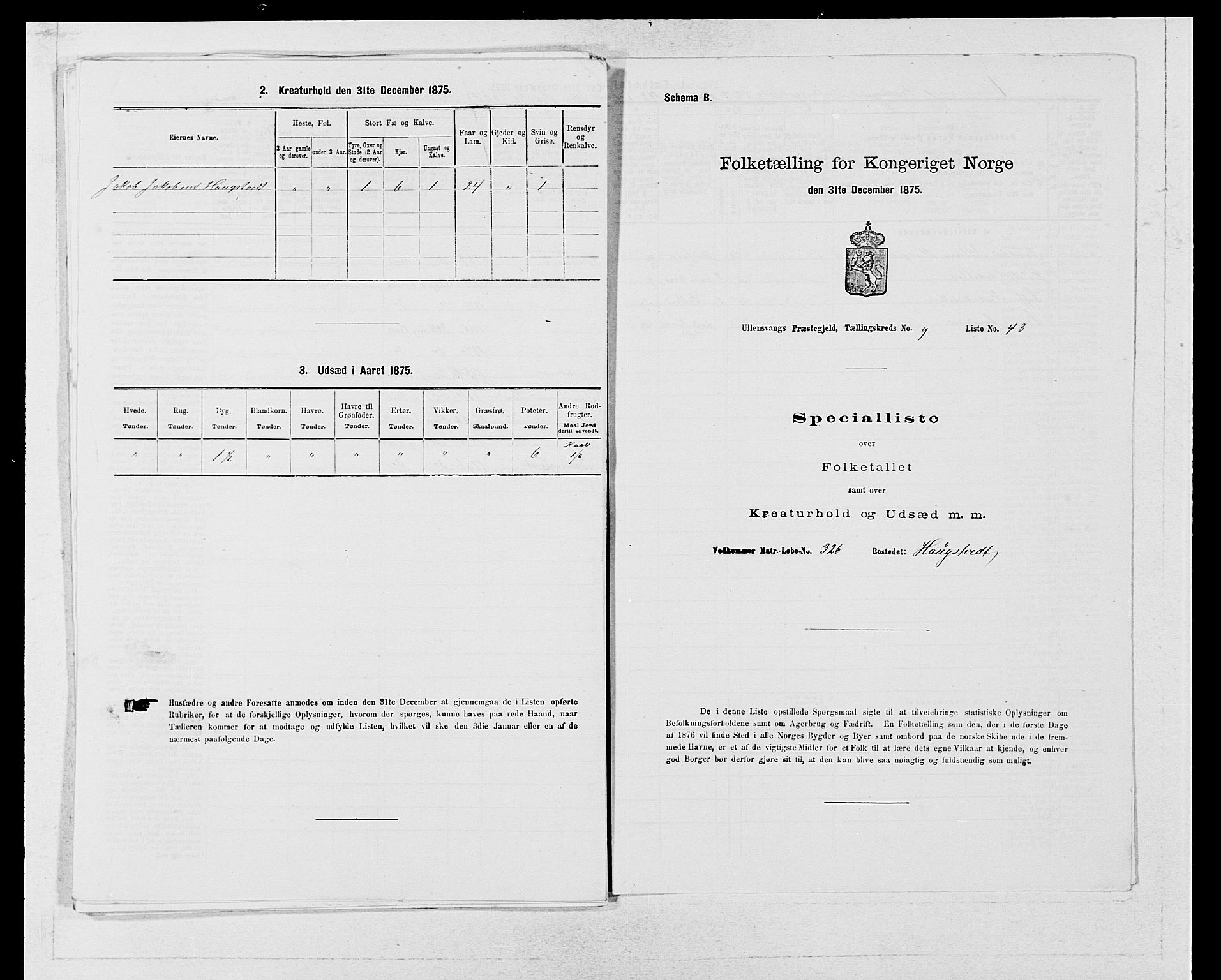 SAB, Folketelling 1875 for 1230P Ullensvang prestegjeld, 1875, s. 933