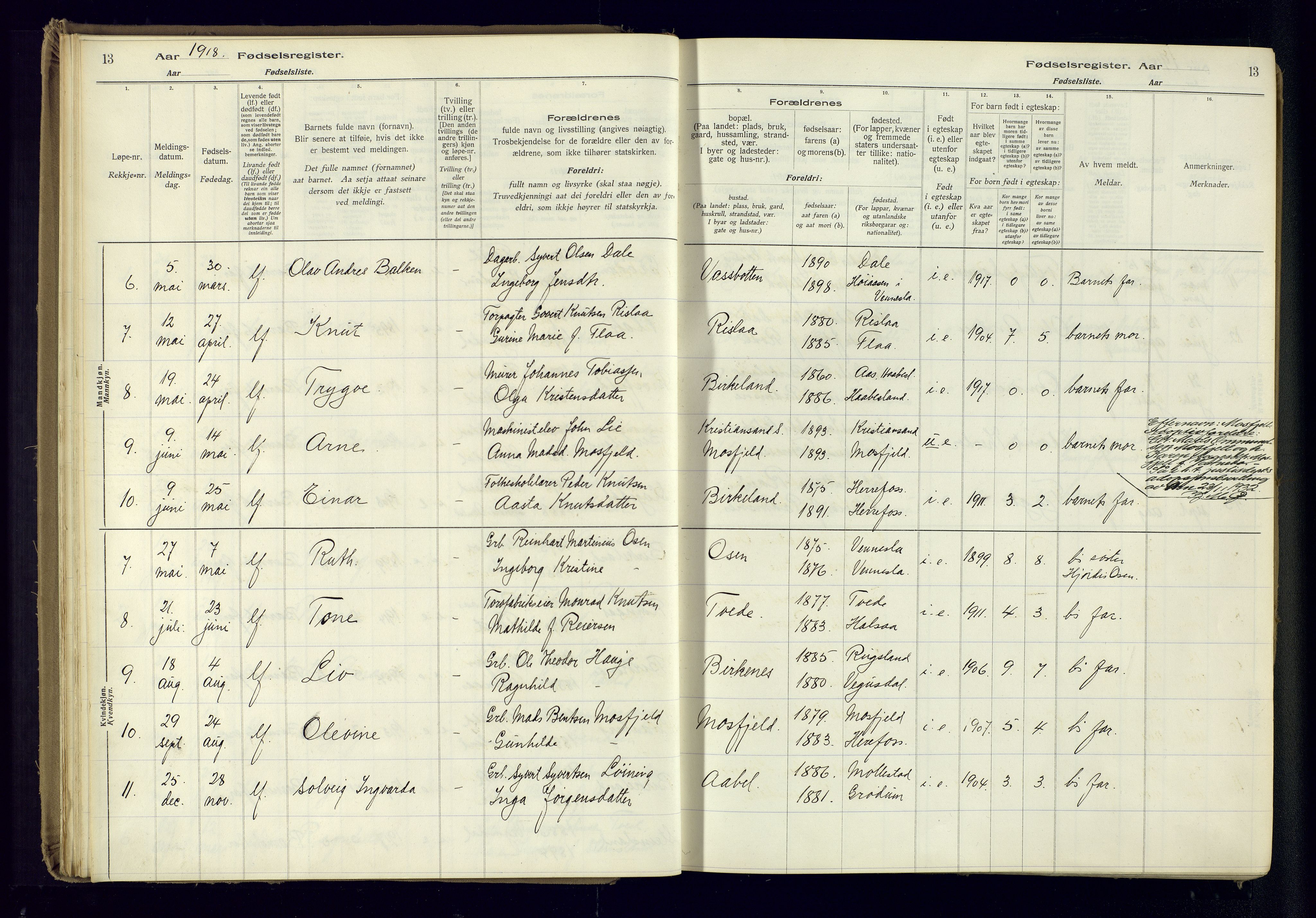 Birkenes sokneprestkontor, SAK/1111-0004/J/Ja/L0001: Fødselsregister nr. II.6.4, 1916-1962, s. 13