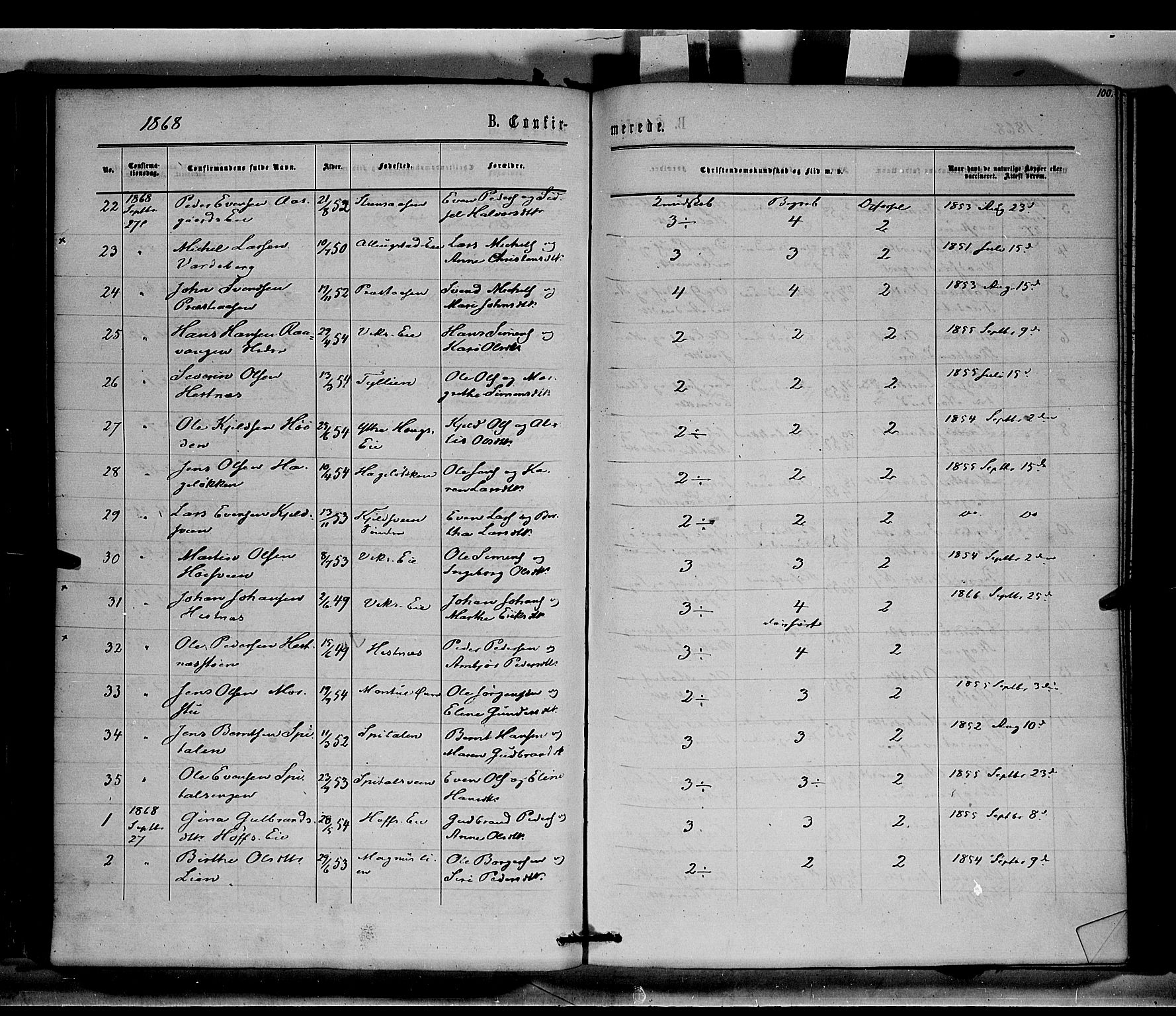 Stange prestekontor, SAH/PREST-002/K/L0014: Ministerialbok nr. 14, 1862-1879, s. 100