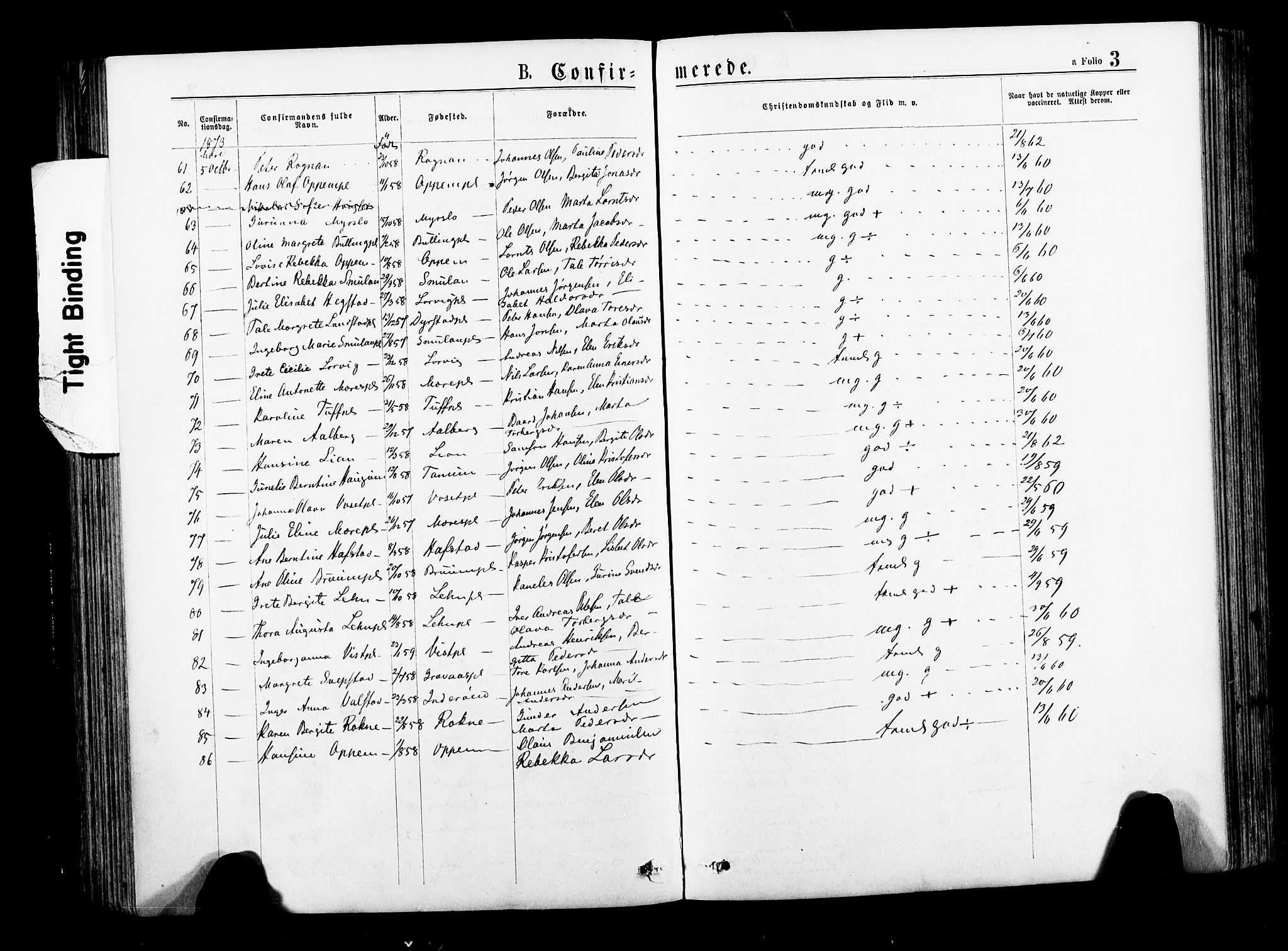 Ministerialprotokoller, klokkerbøker og fødselsregistre - Nord-Trøndelag, SAT/A-1458/735/L0348: Ministerialbok nr. 735A09 /1, 1873-1883, s. 3