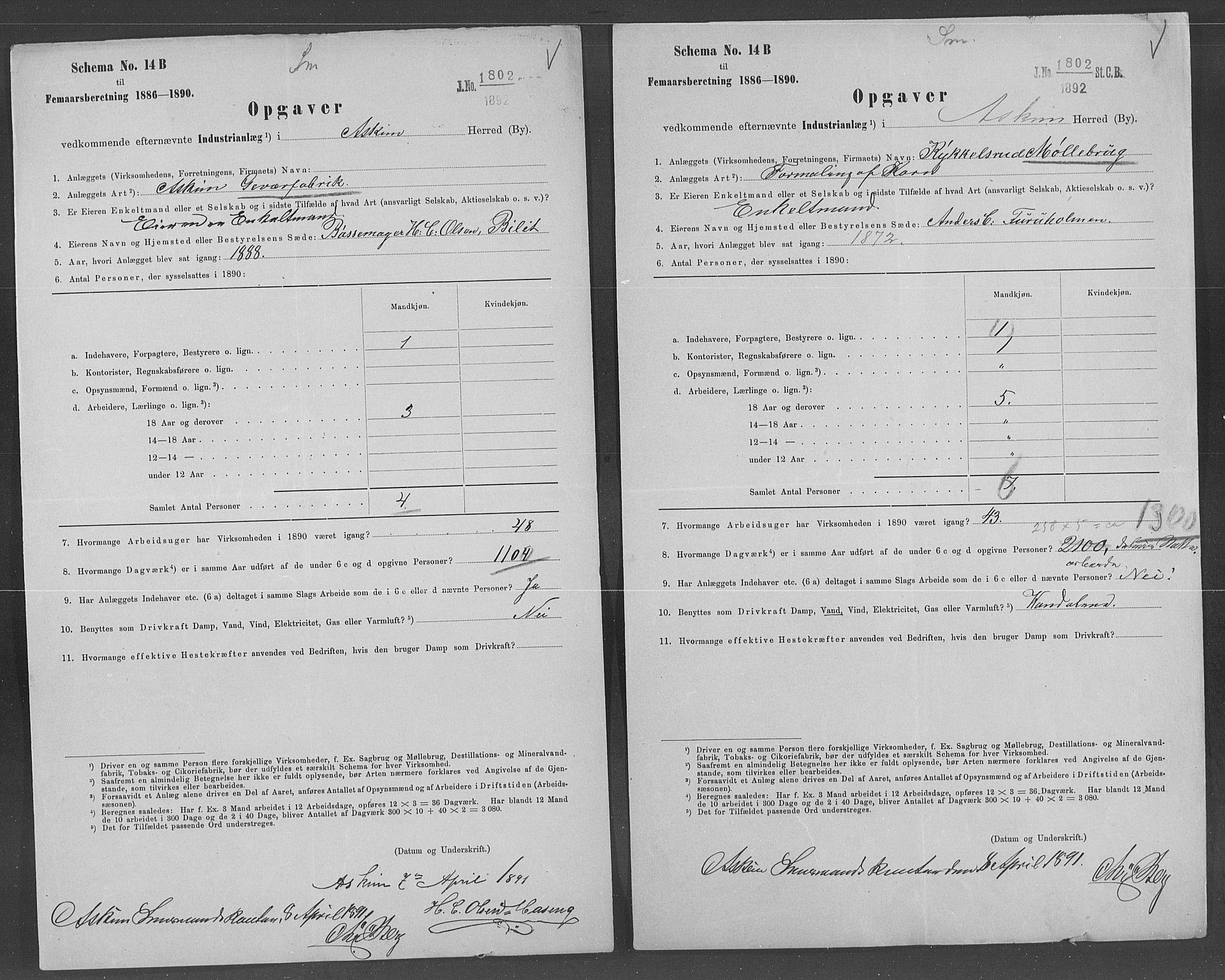 Statistisk sentralbyrå, Næringsøkonomiske emner, Generelt - Amtmennenes femårsberetninger, AV/RA-S-2233/F/Fa/L0074: --, 1890, s. 219