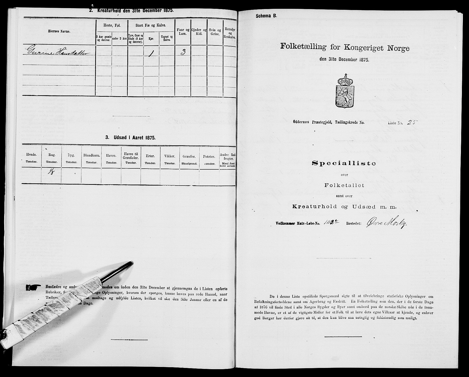 SAK, Folketelling 1875 for 1012P Oddernes prestegjeld, 1875, s. 612