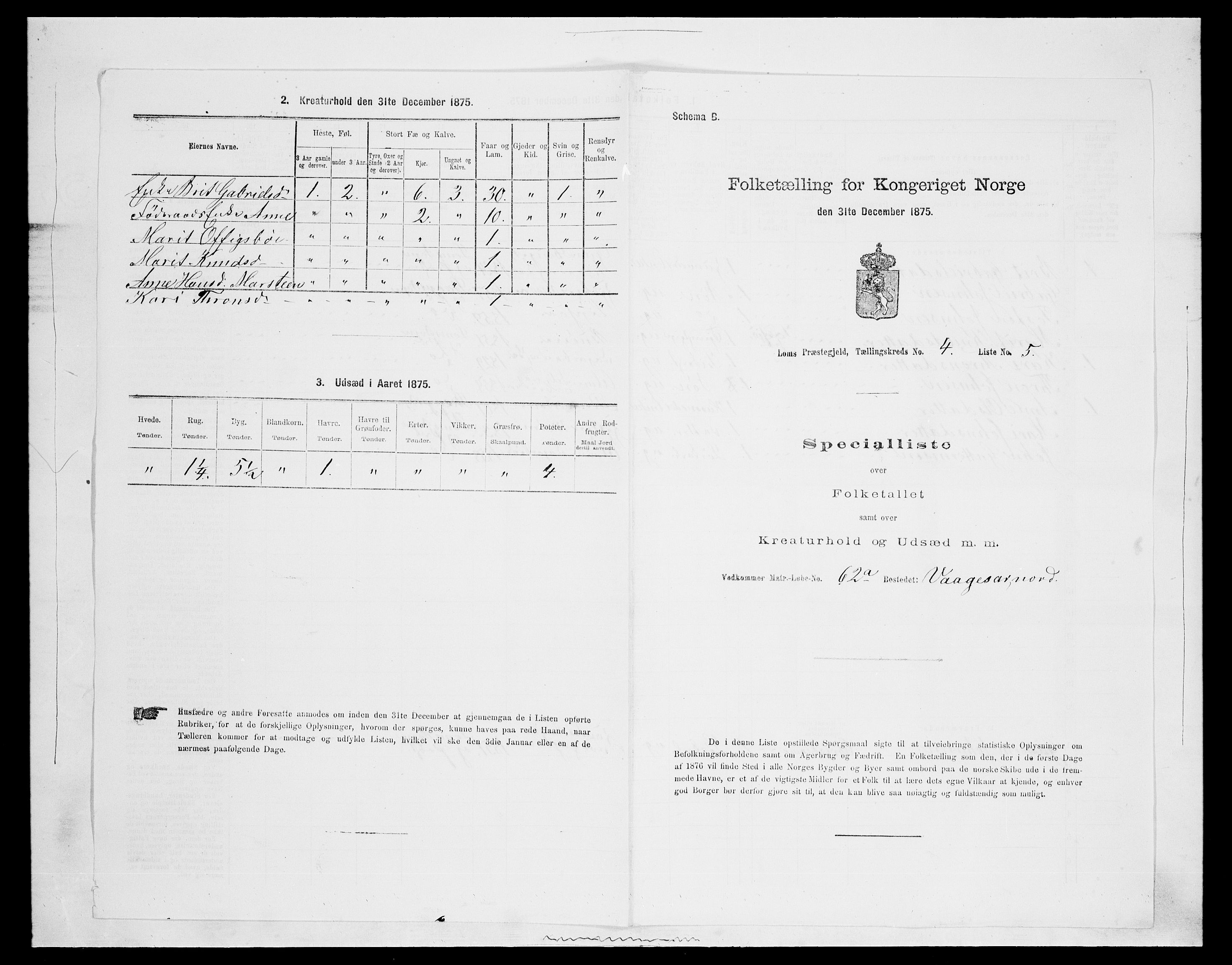 SAH, Folketelling 1875 for 0514P Lom prestegjeld, 1875, s. 596