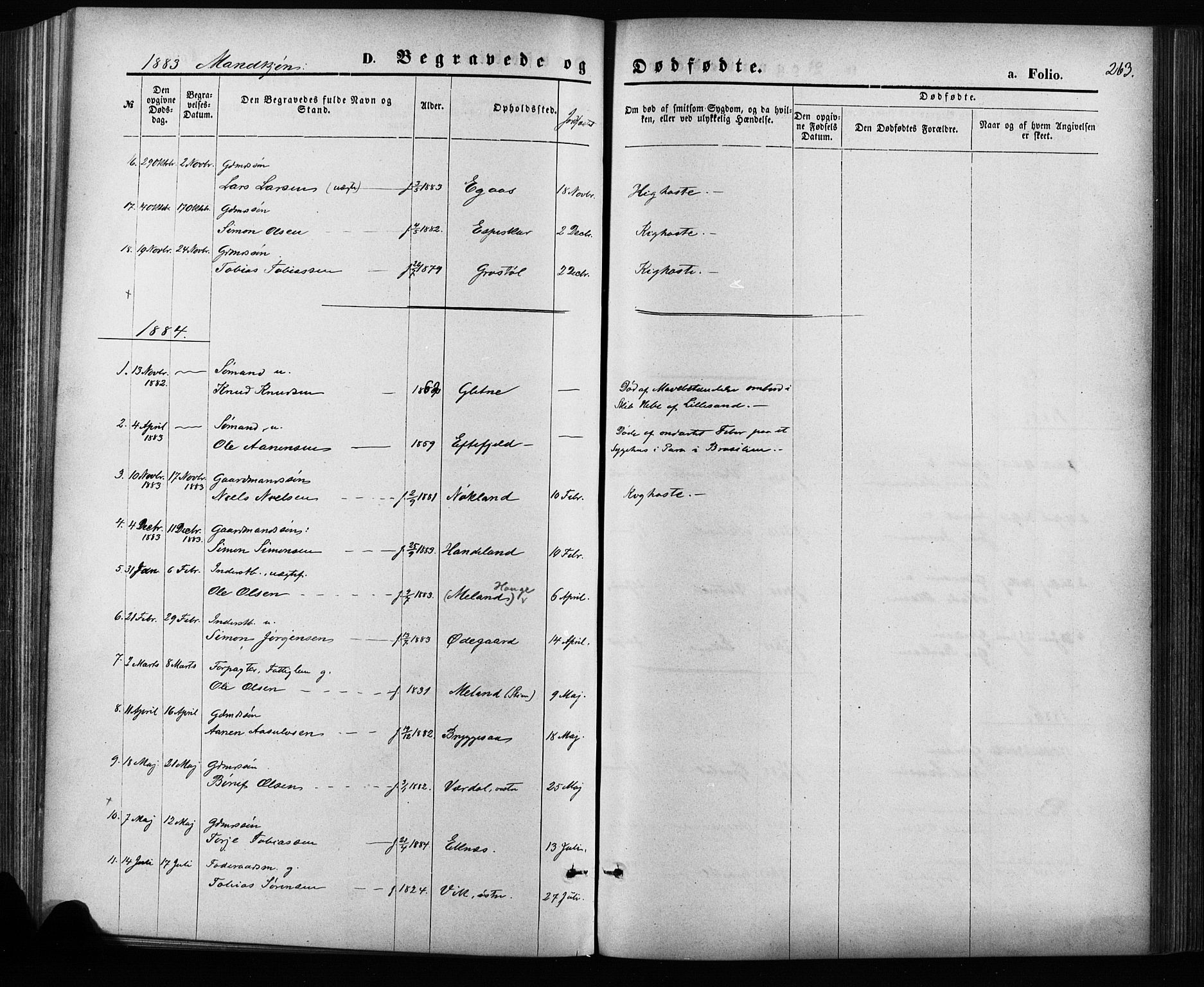 Hægebostad sokneprestkontor, AV/SAK-1111-0024/F/Fa/Fab/L0003: Ministerialbok nr. A 3, 1872-1886, s. 263