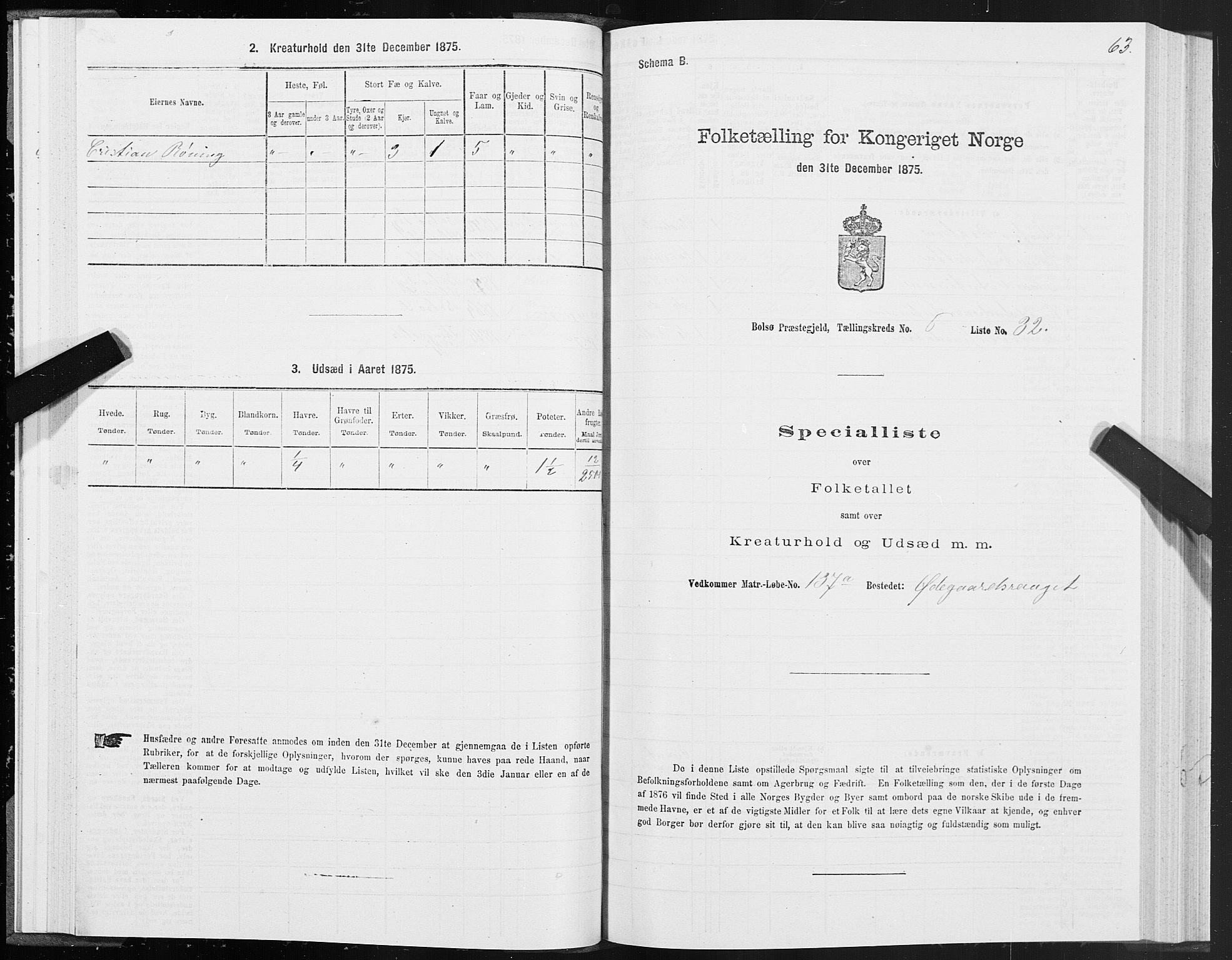 SAT, Folketelling 1875 for 1544P Bolsøy prestegjeld, 1875, s. 4063