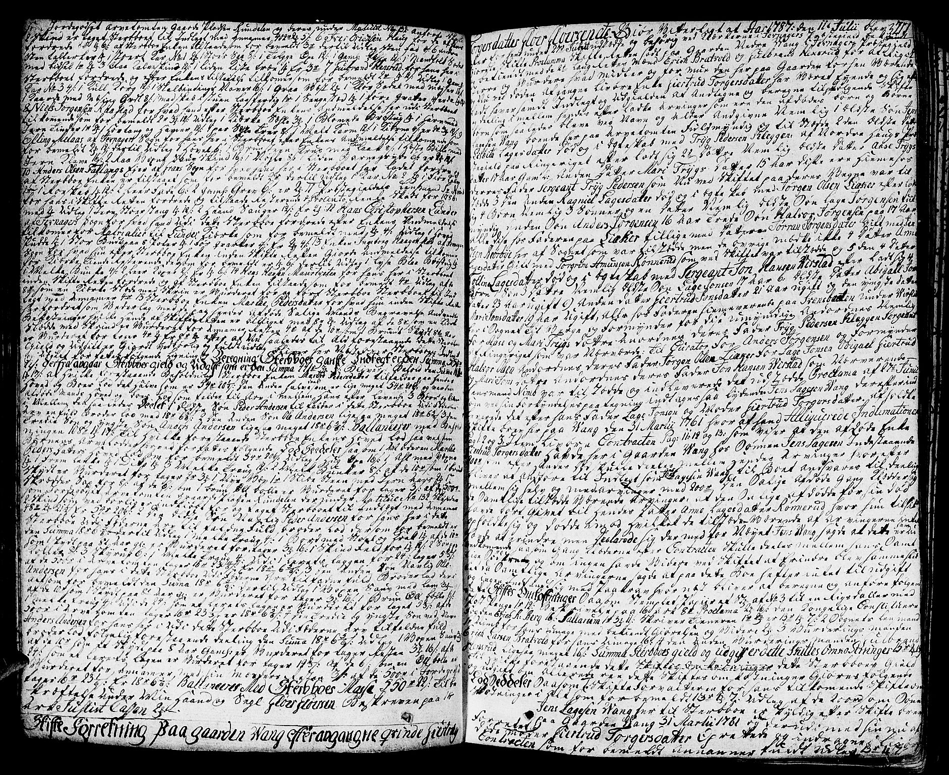 Hadeland, Land og Valdres sorenskriveri, SAH/TING-028/J/Ja/L0008: Skifteprotokoll, 1783-1802, s. 216b-217a