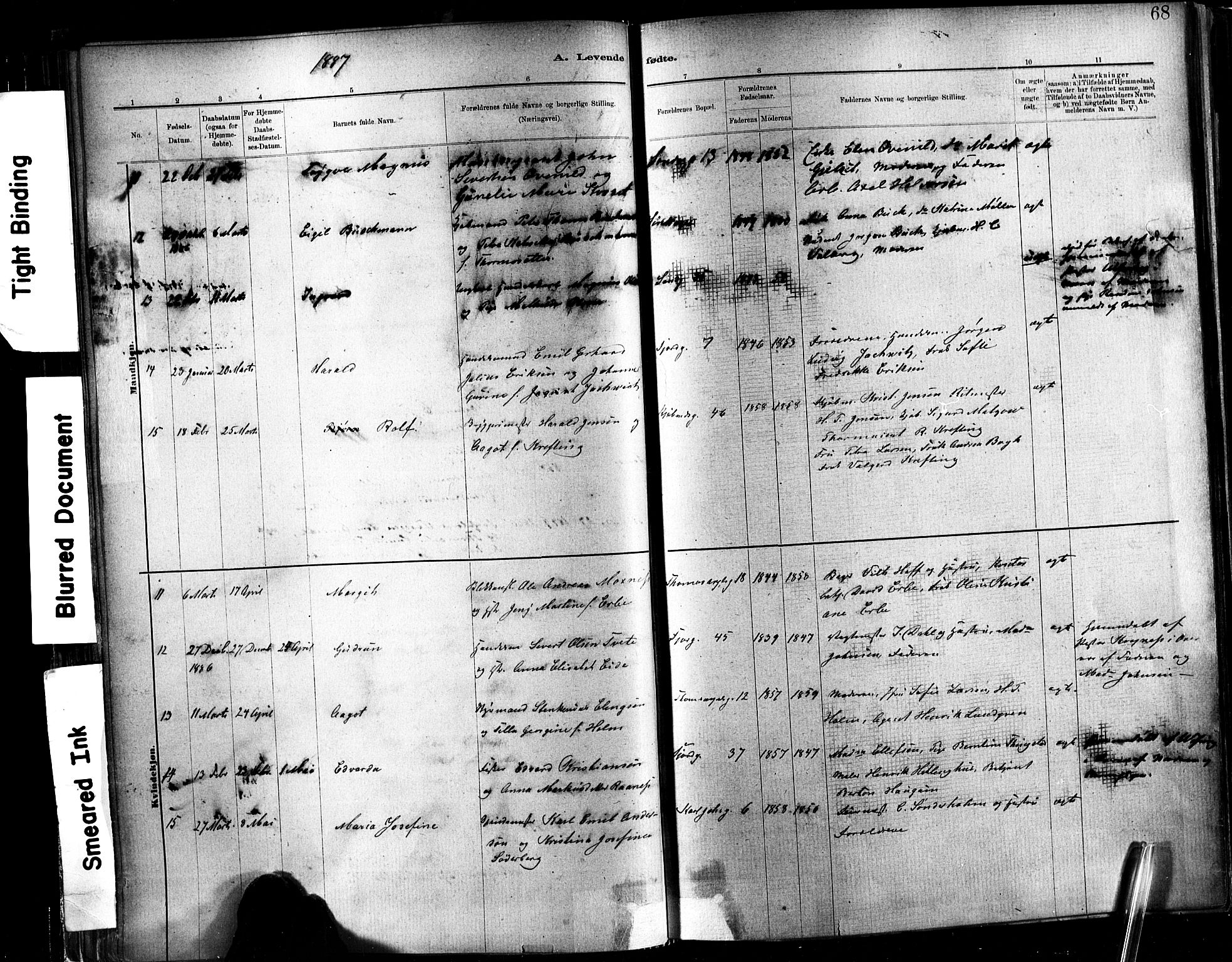 Ministerialprotokoller, klokkerbøker og fødselsregistre - Sør-Trøndelag, SAT/A-1456/602/L0119: Ministerialbok nr. 602A17, 1880-1901, s. 68
