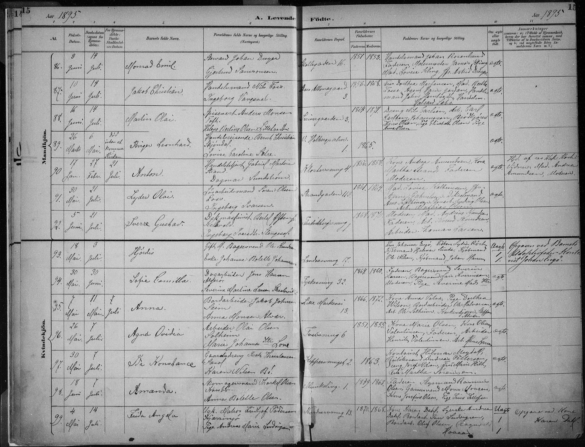 Nykirken Sokneprestembete, AV/SAB-A-77101/H/Haa/L0018: Ministerialbok nr. B 6, 1895-1903, s. 15